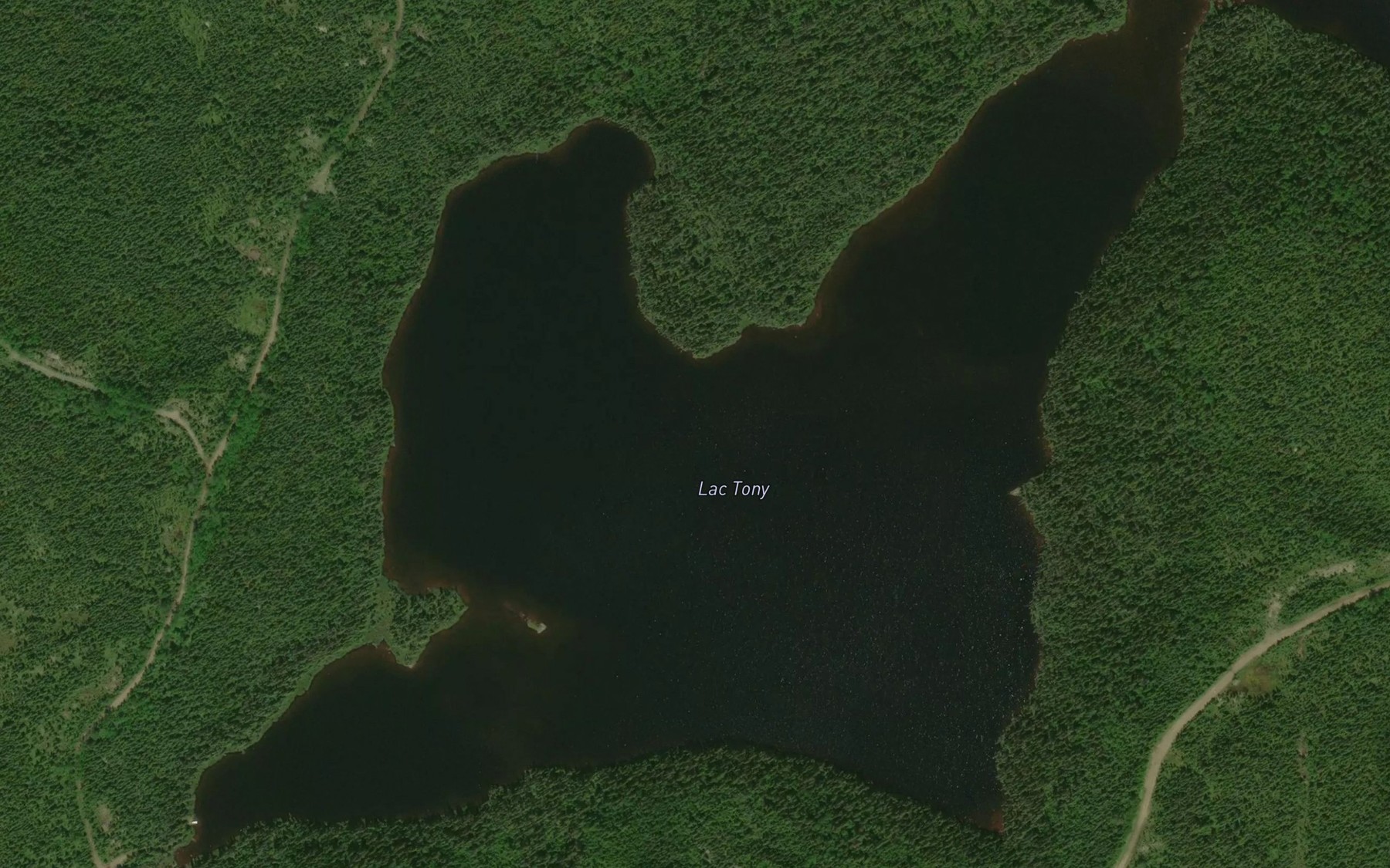 Satellite map of the Lac Tony