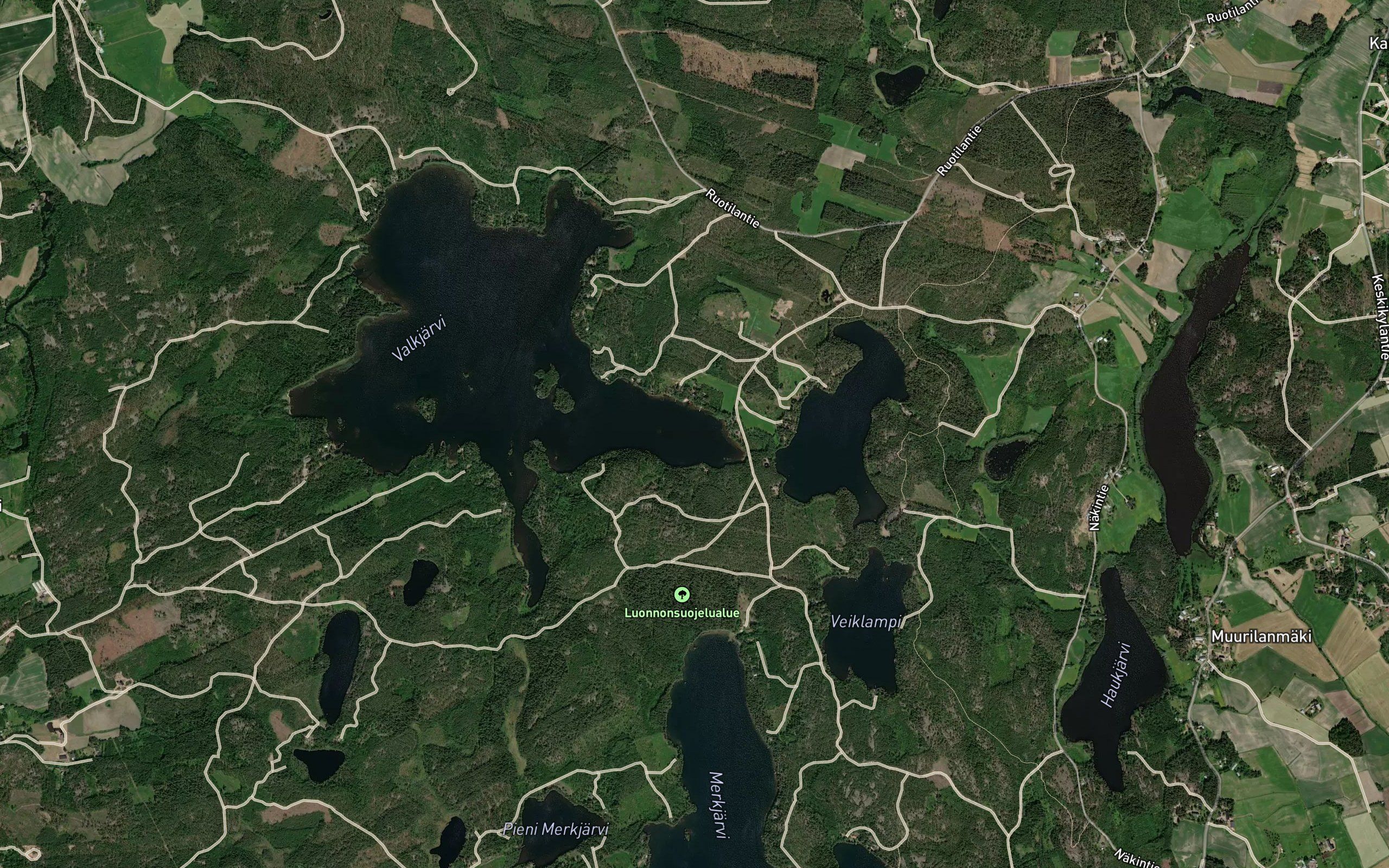 Pitkalahti