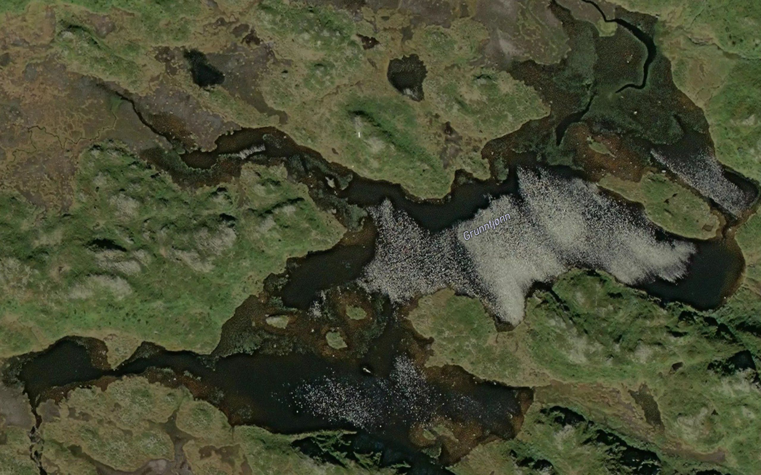 Grunntjorn