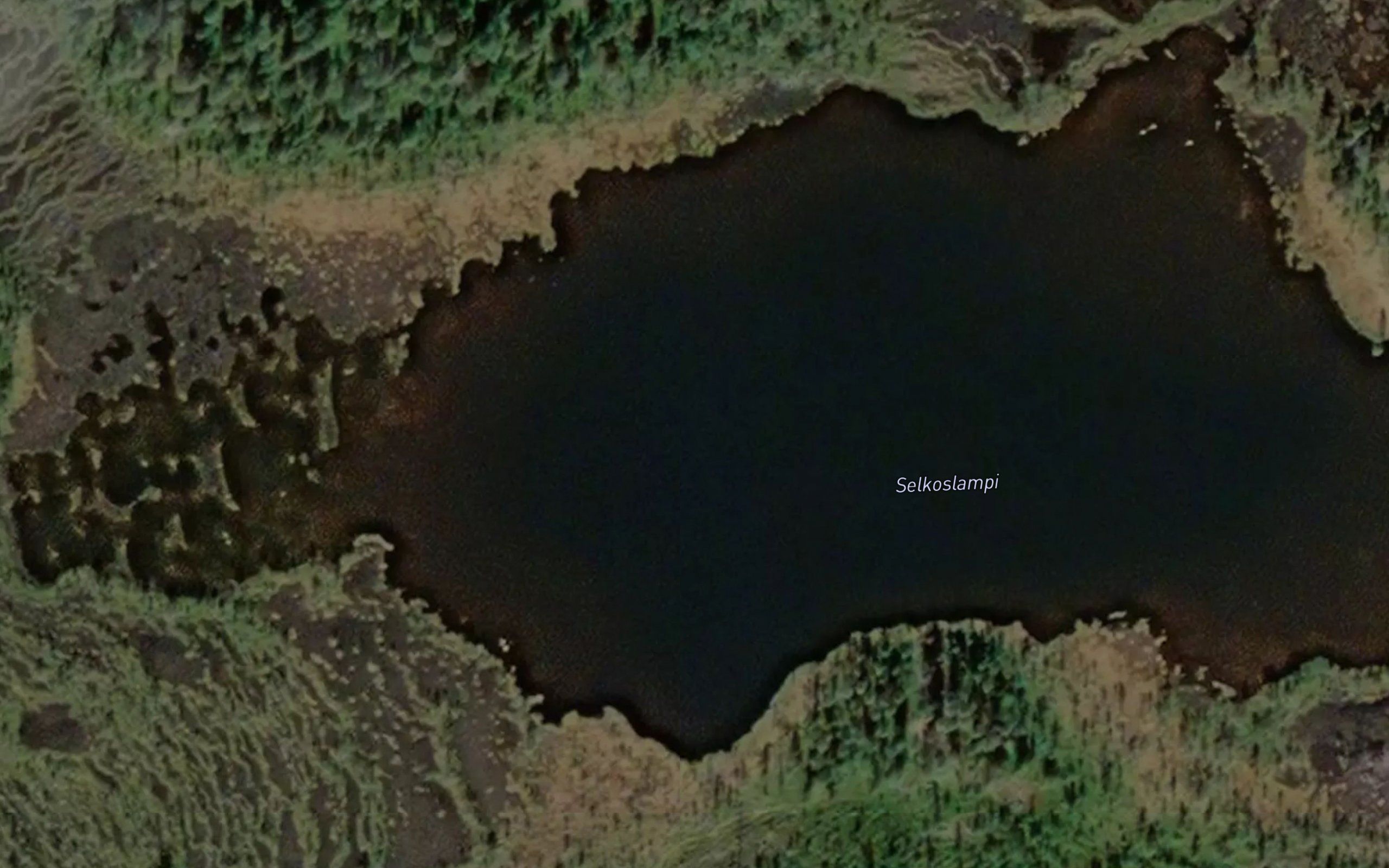 Selkoslampi