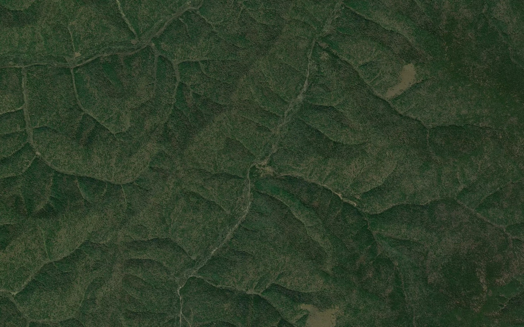 Satellite map of the Dvoynoy