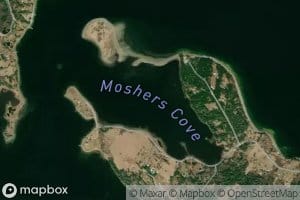 Moshers Cove