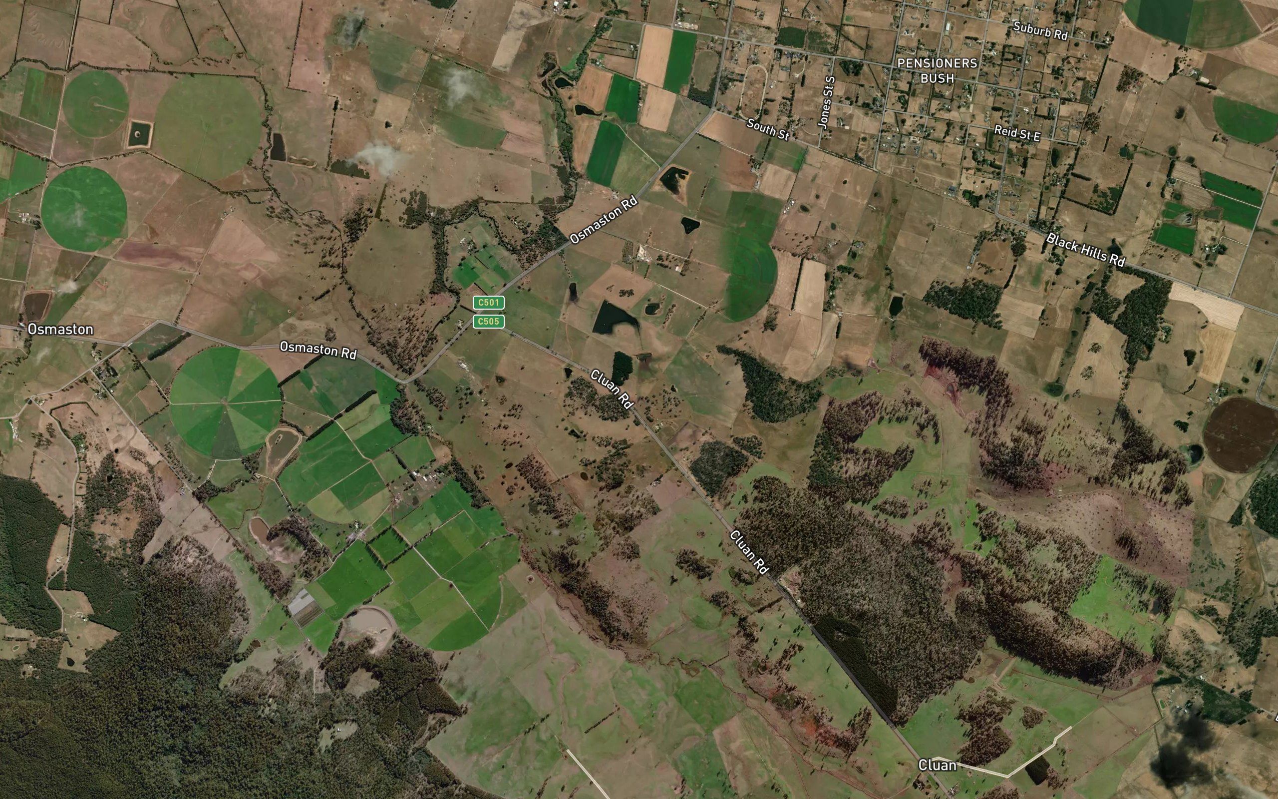 Swamp Gum Rivulet