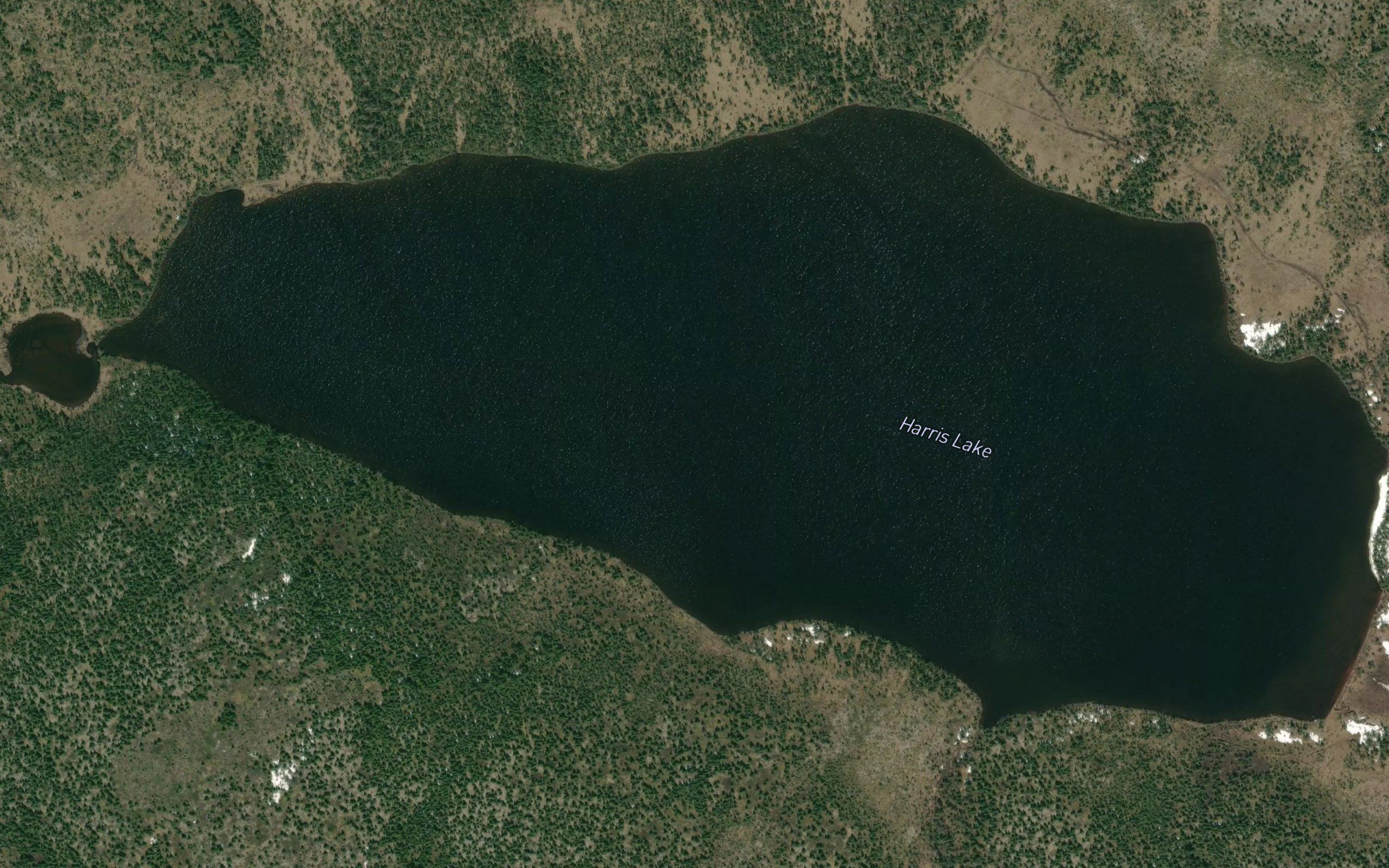 Harris Lake