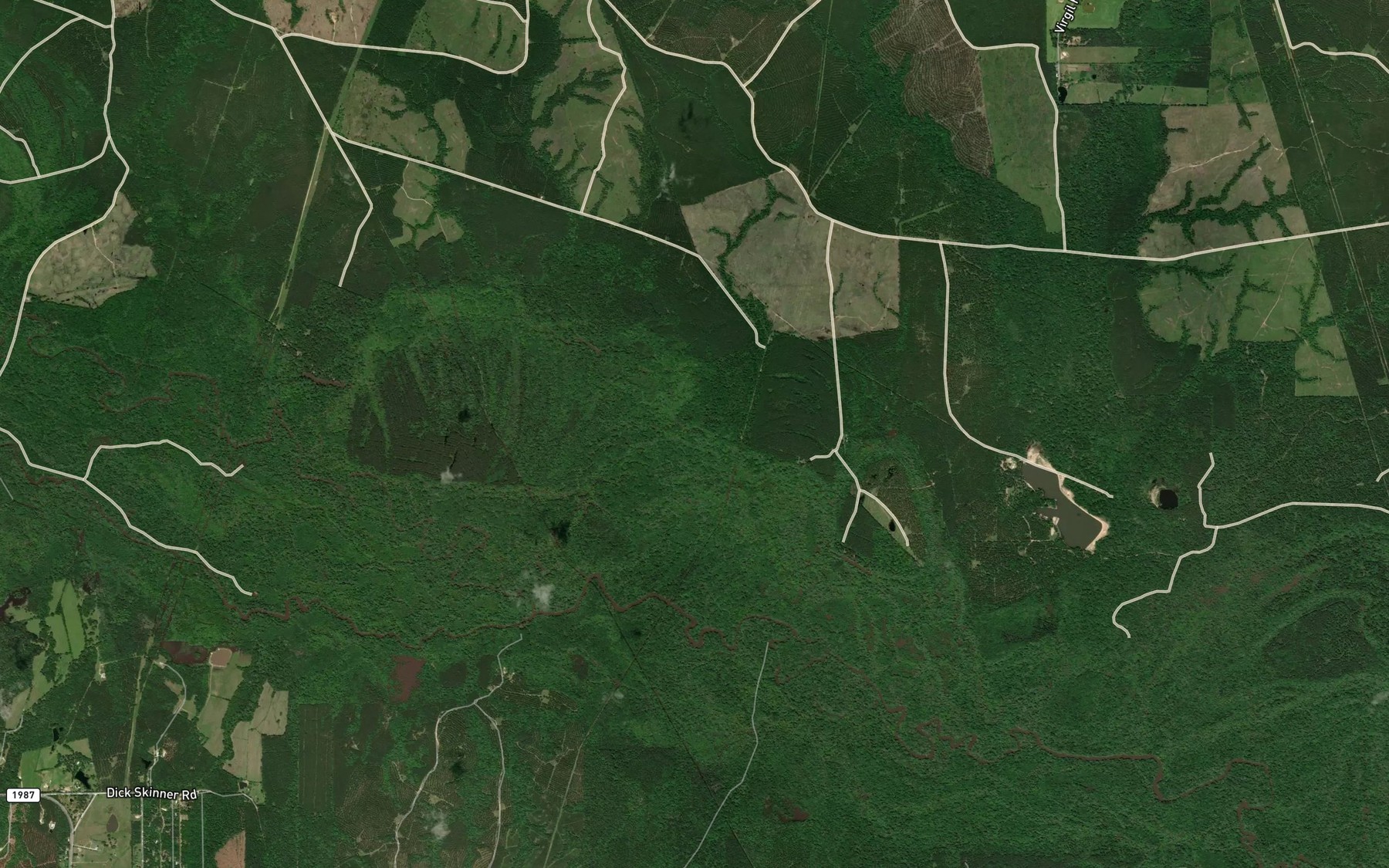 Satellite map of the Albritton Slough