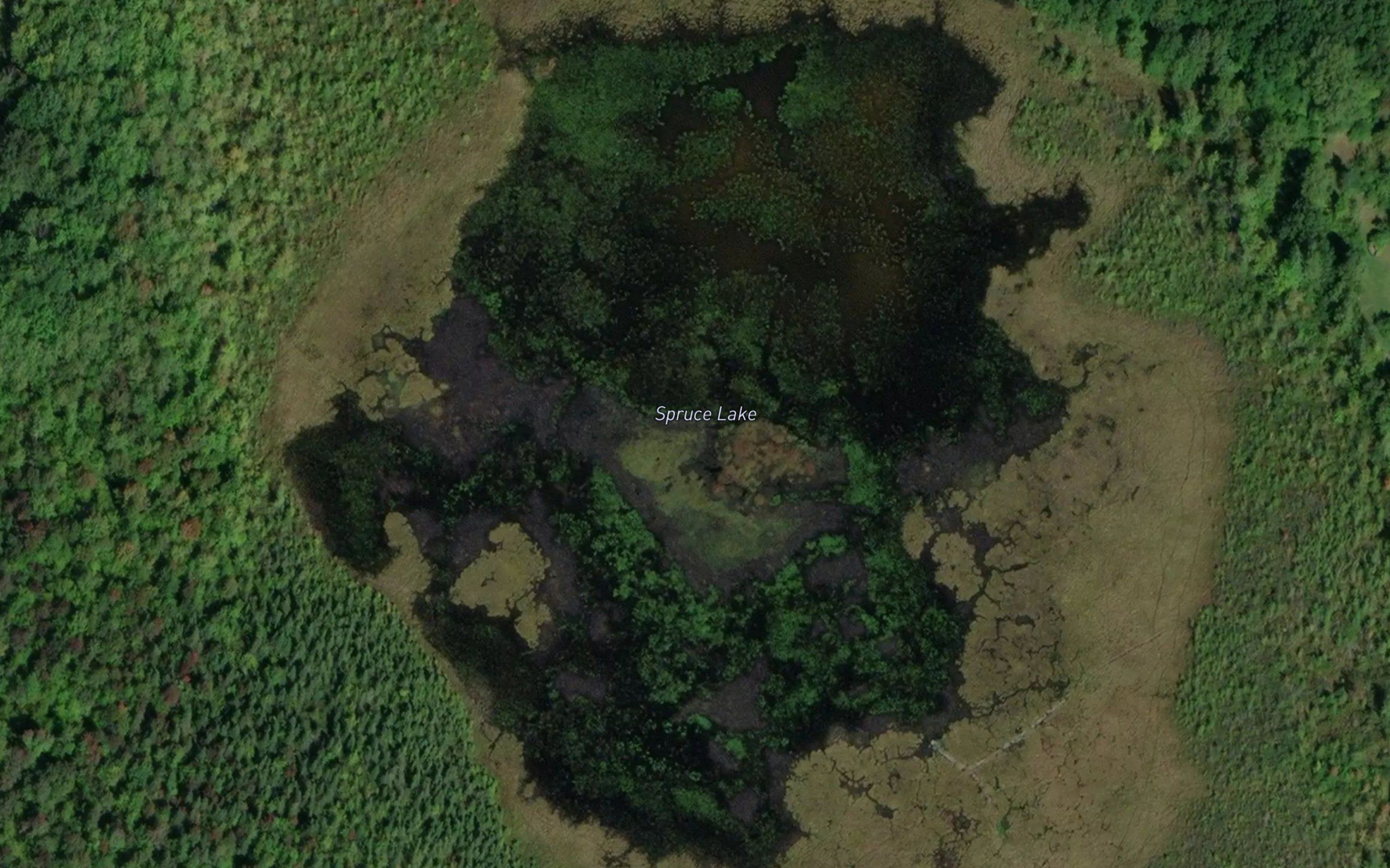 Spruce Lake