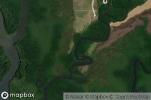 Estero Camibar