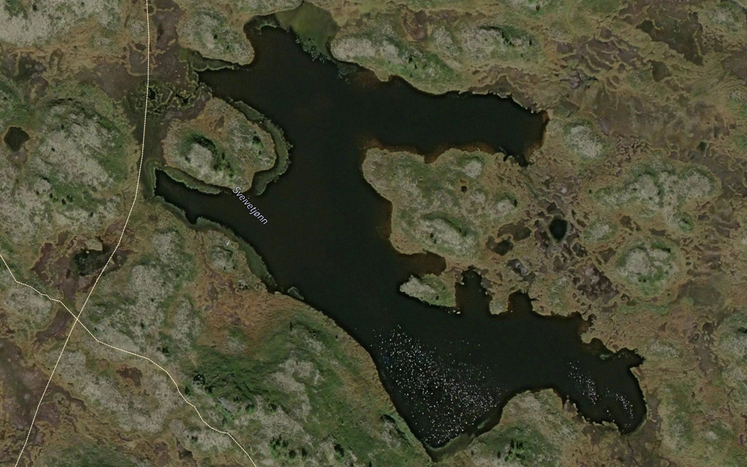 Sveivetjonn