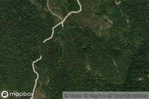 Lodgepole Spring