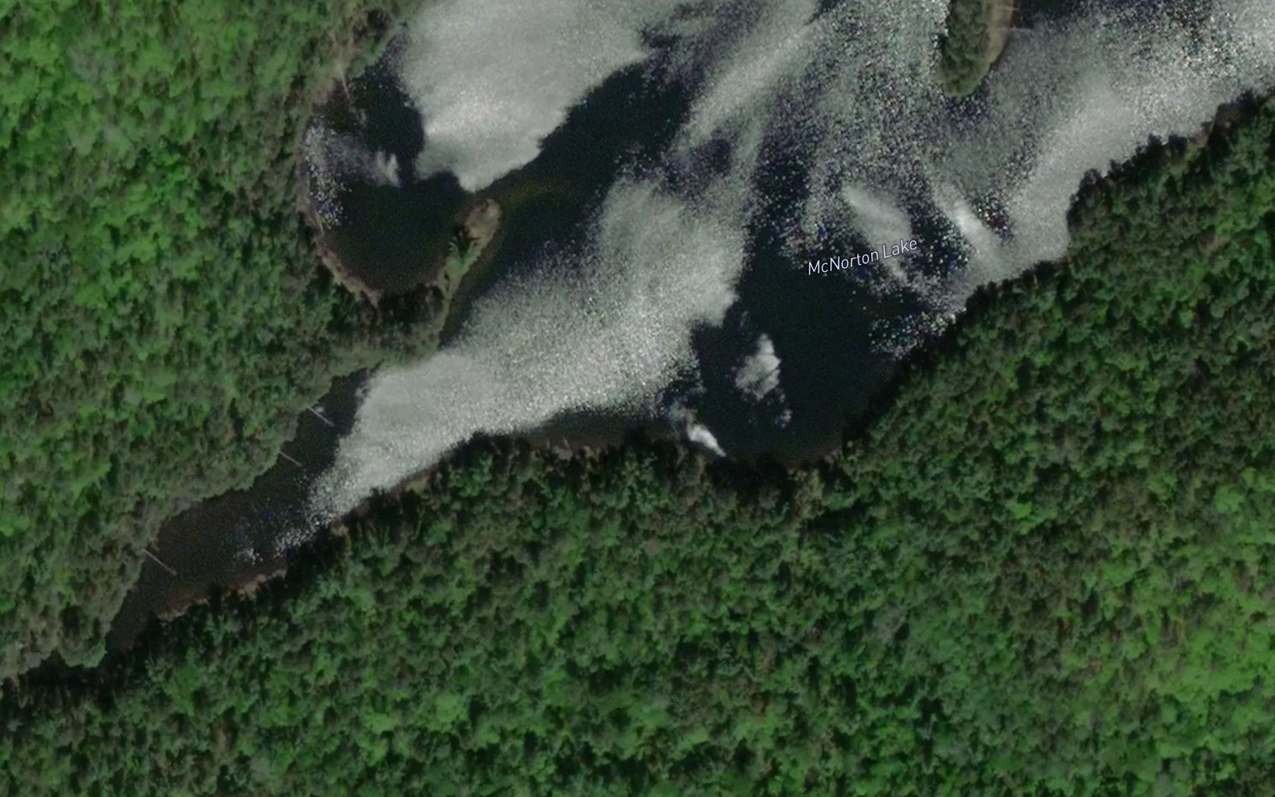 Satellite map of the McNorton Lake