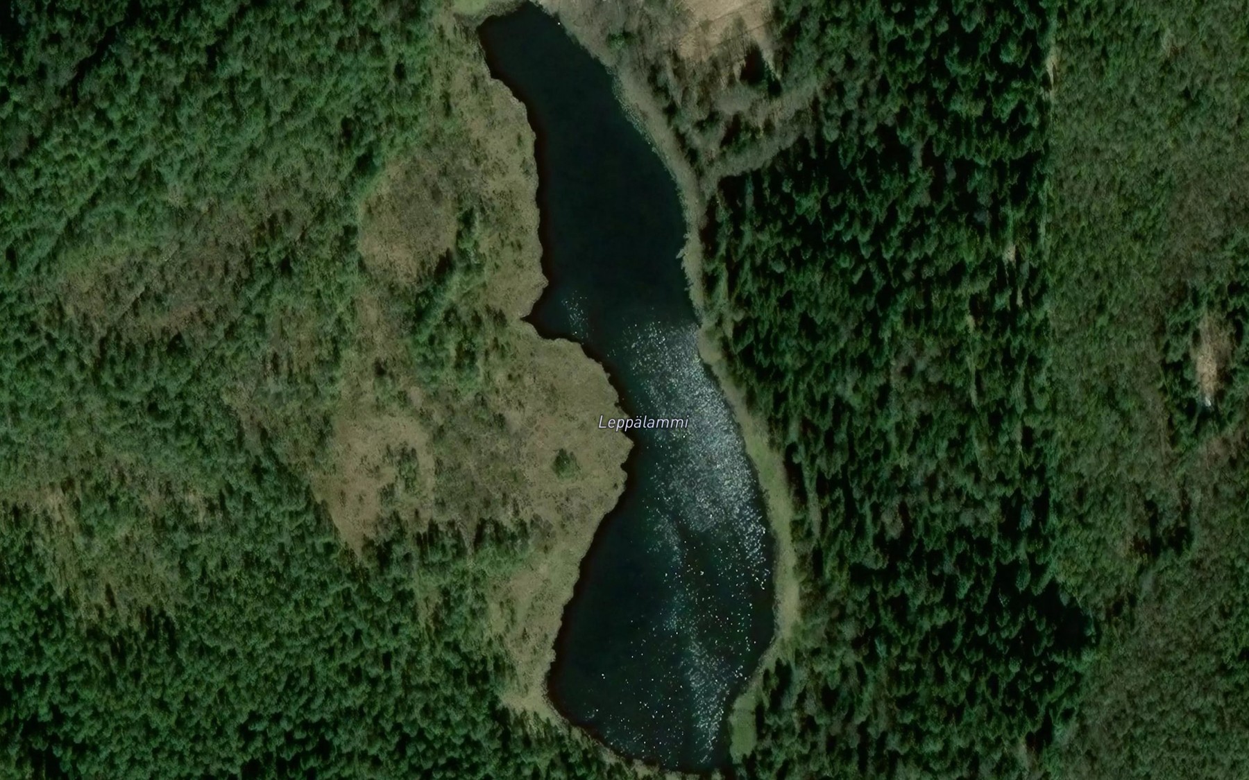 Satellite map of the Leppalammi