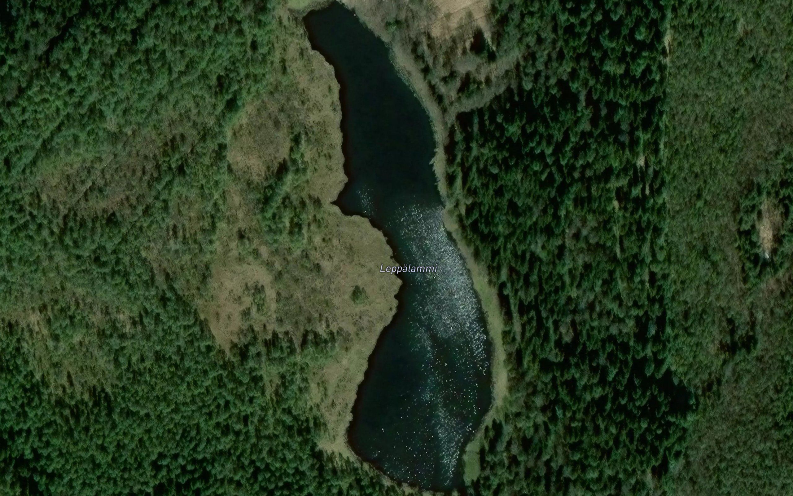 Leppalammi