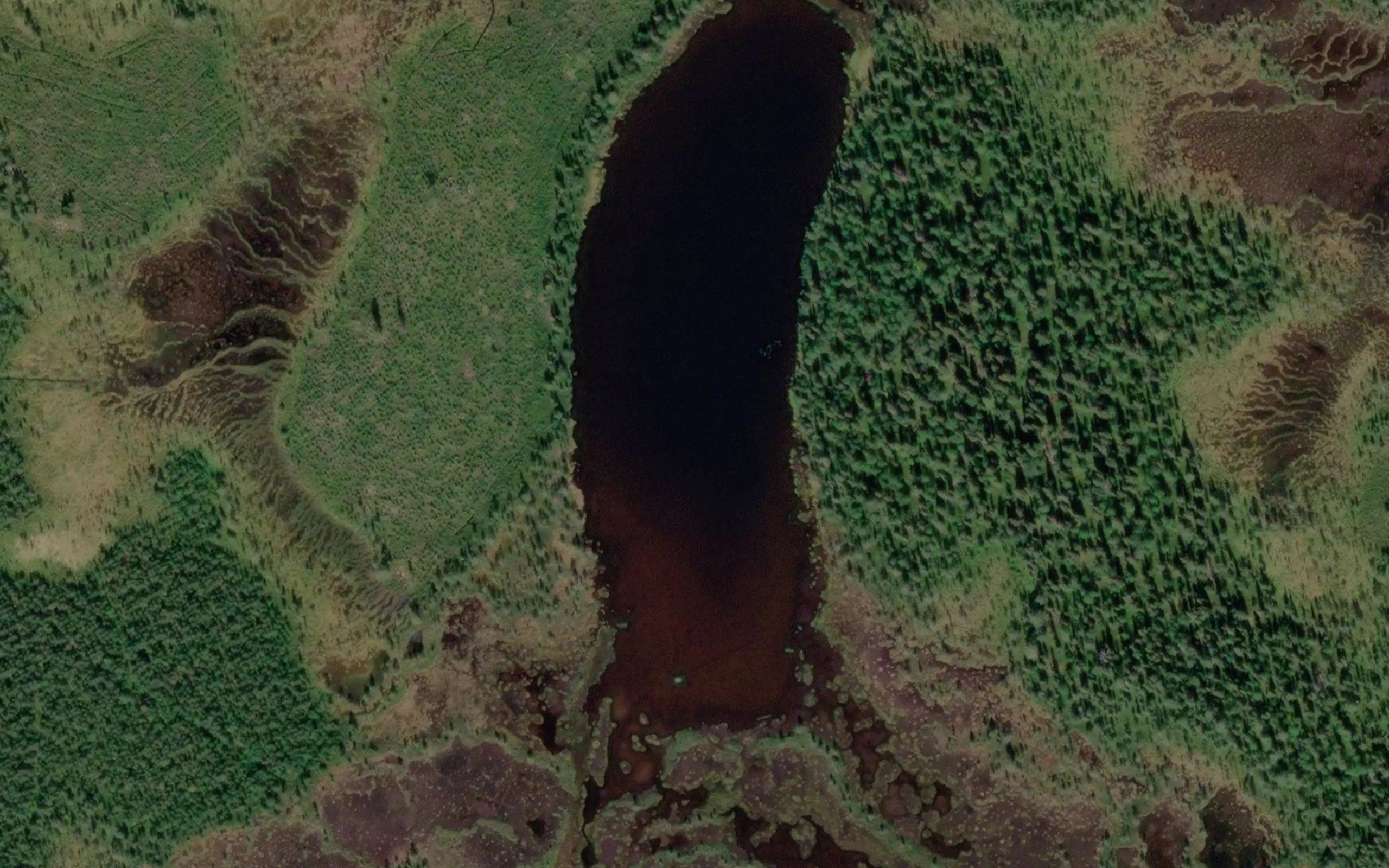 Mutkakummunlampi