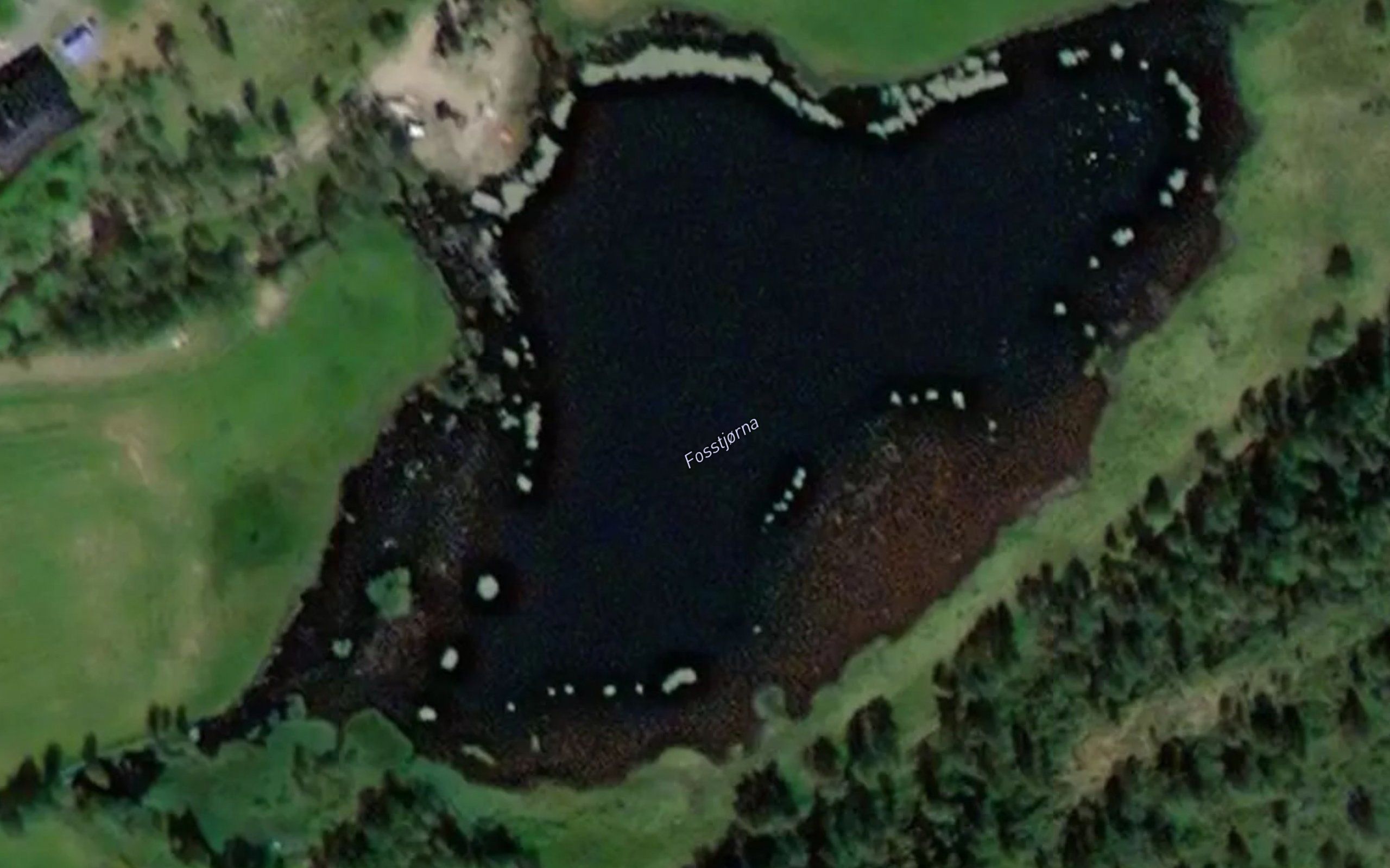 Fosstjorna