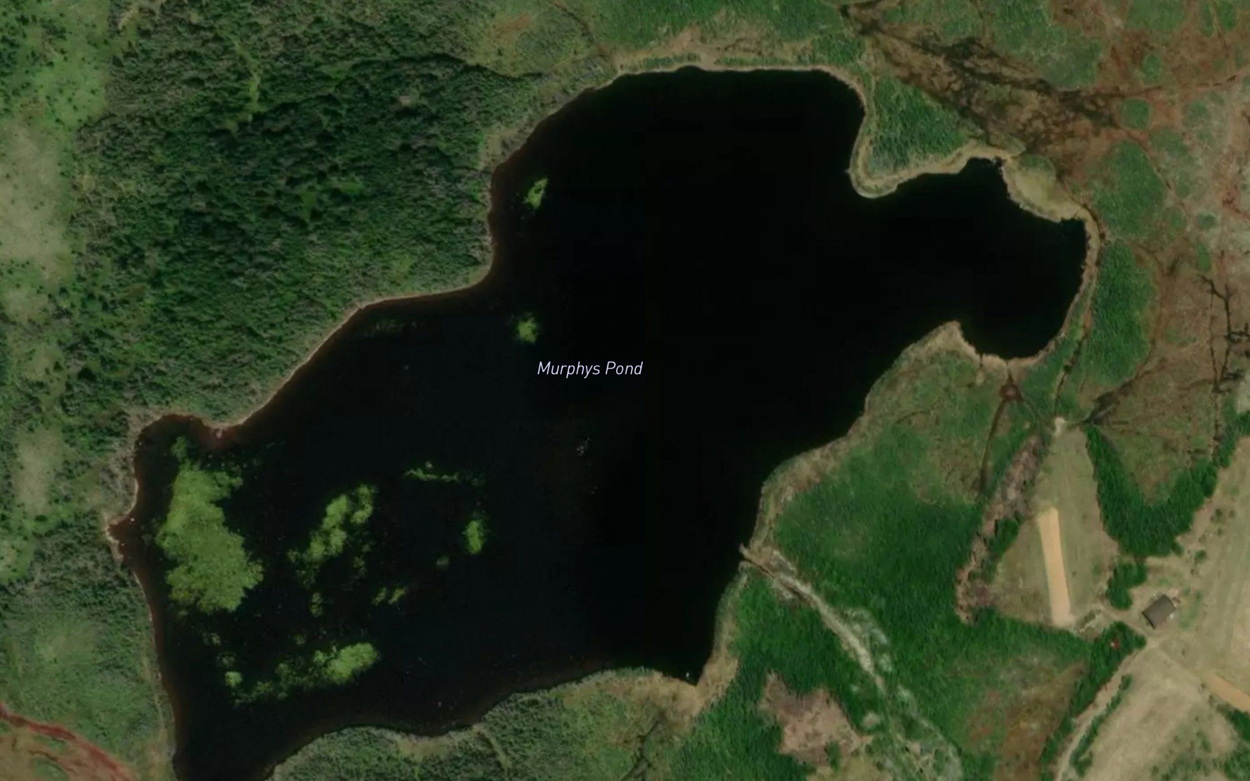 Murphys Pond