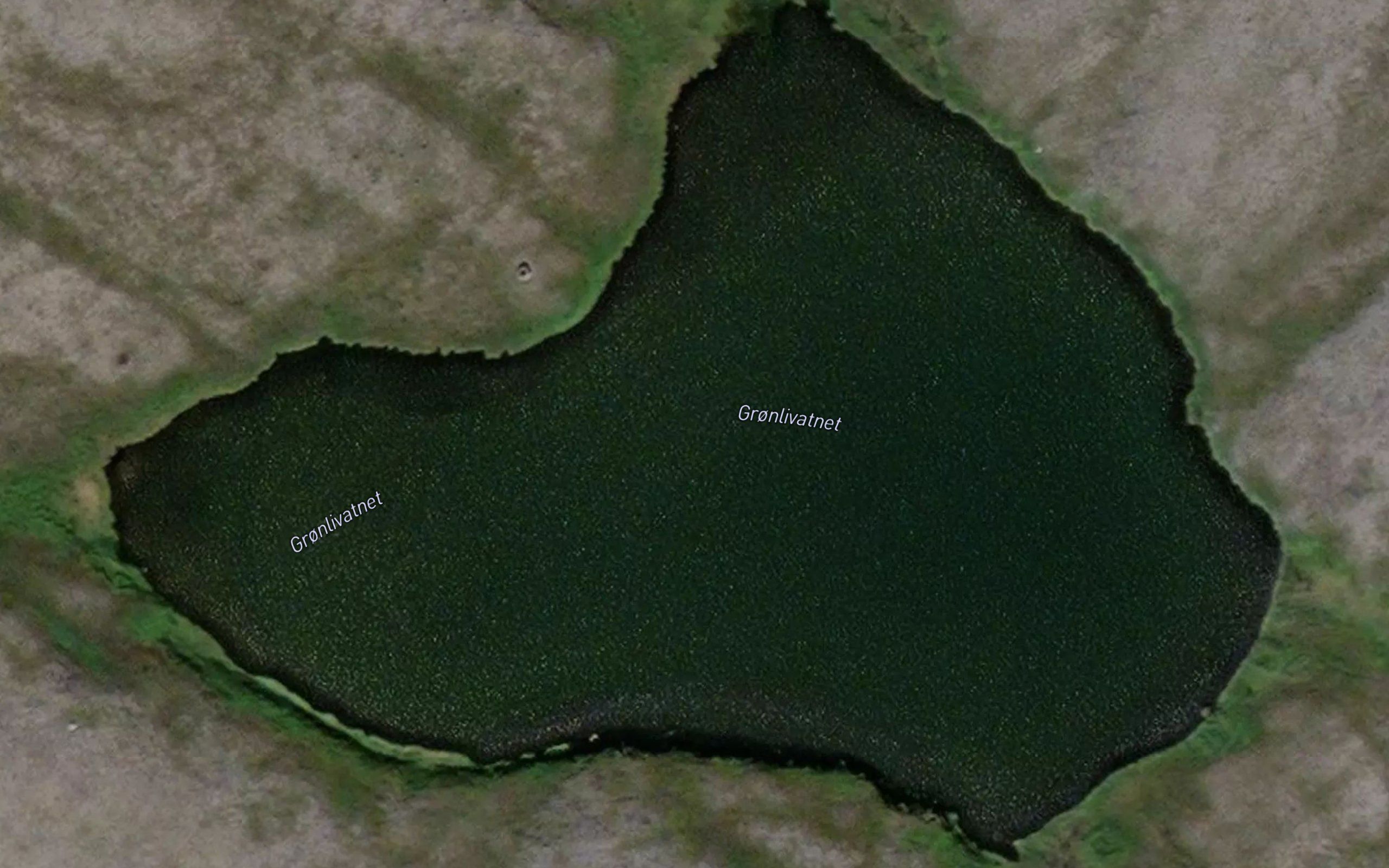 Gronnlivatnet