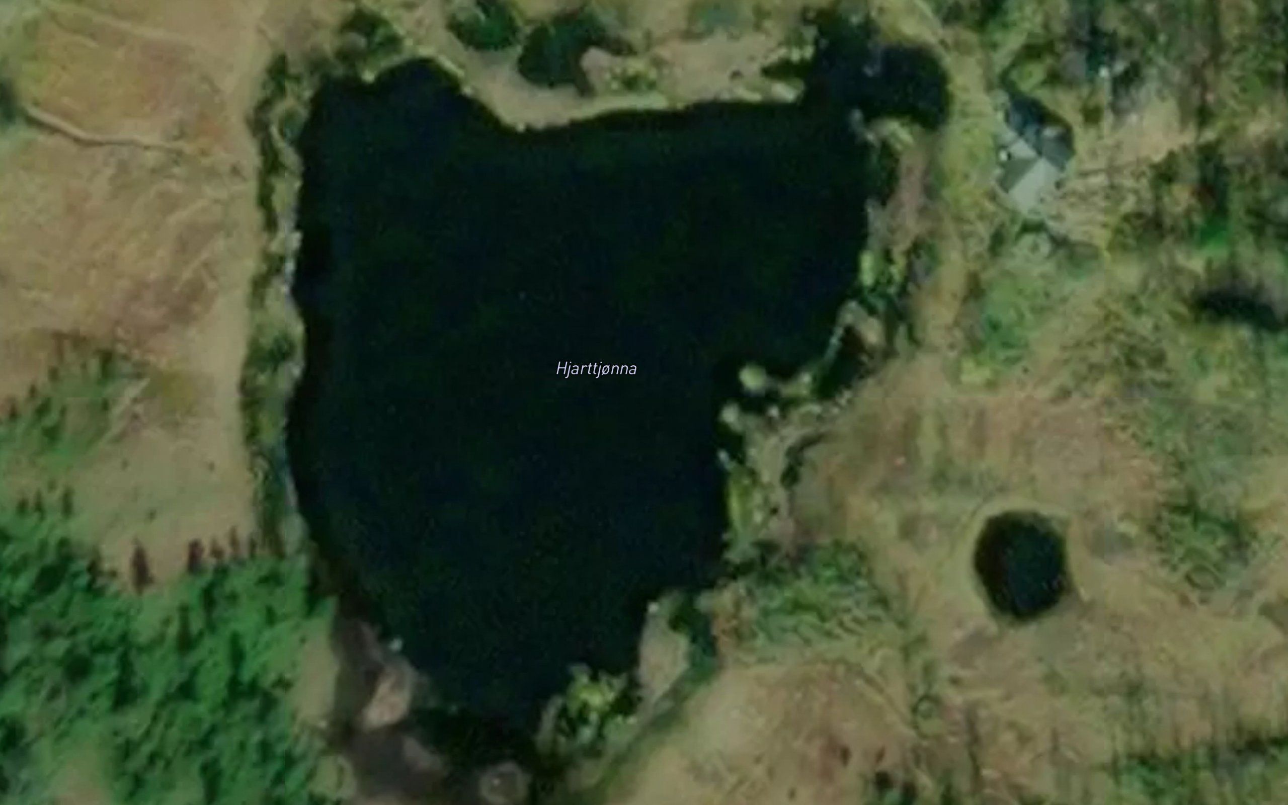 Hjarttjonna