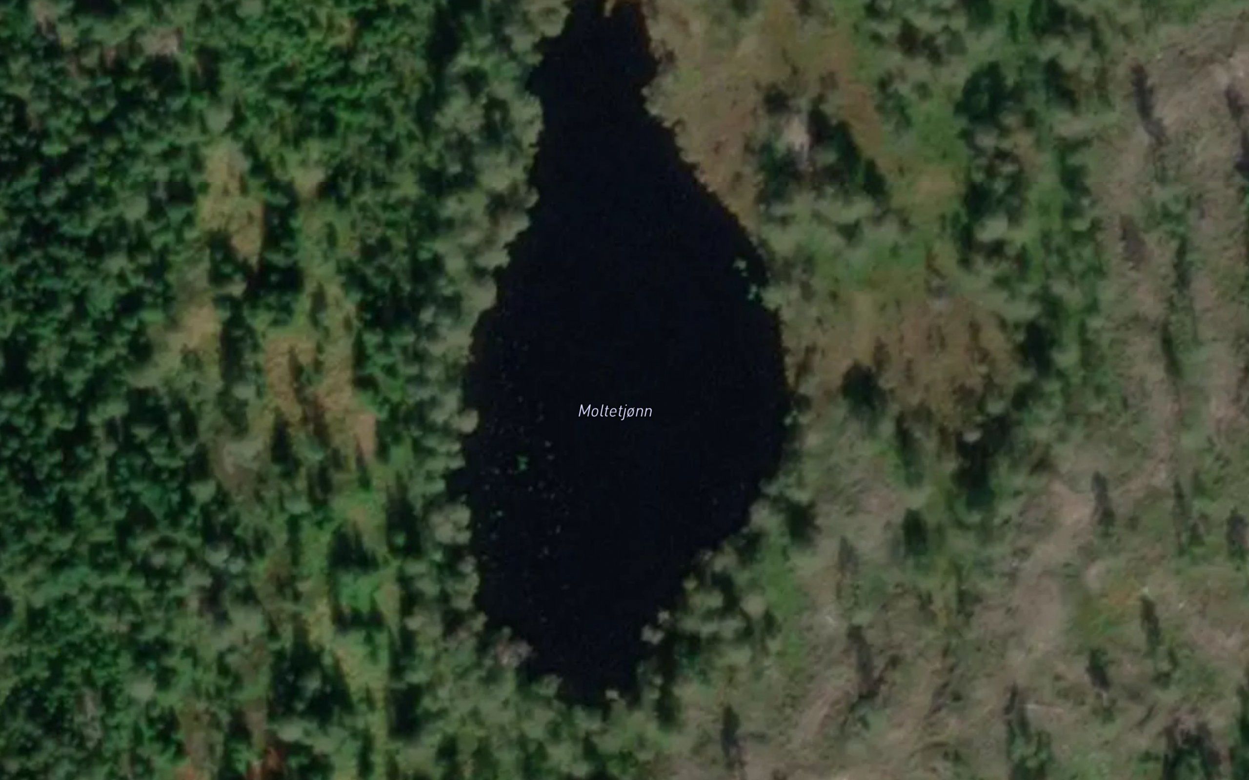 Moltetjorn
