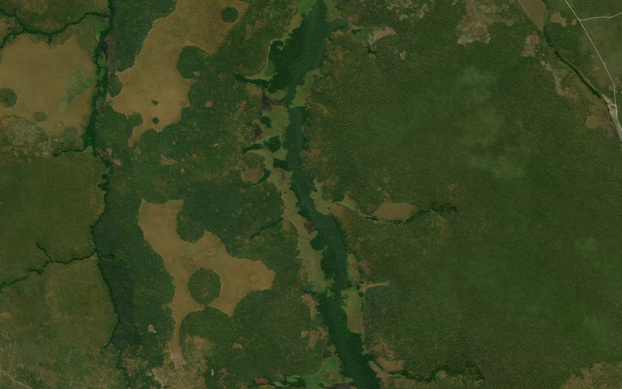 Mutoxa