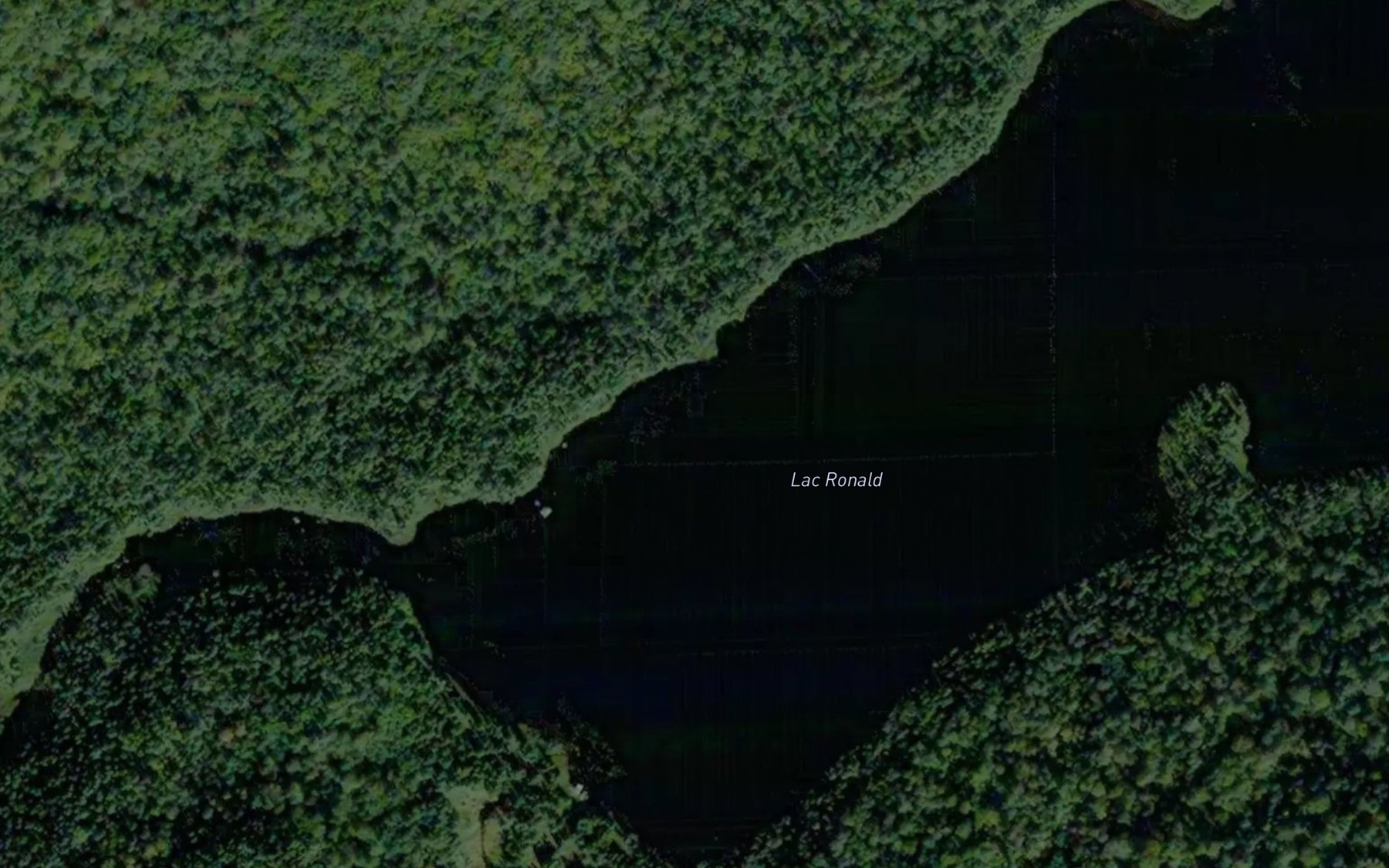 Satellite map of the Lac Ronald