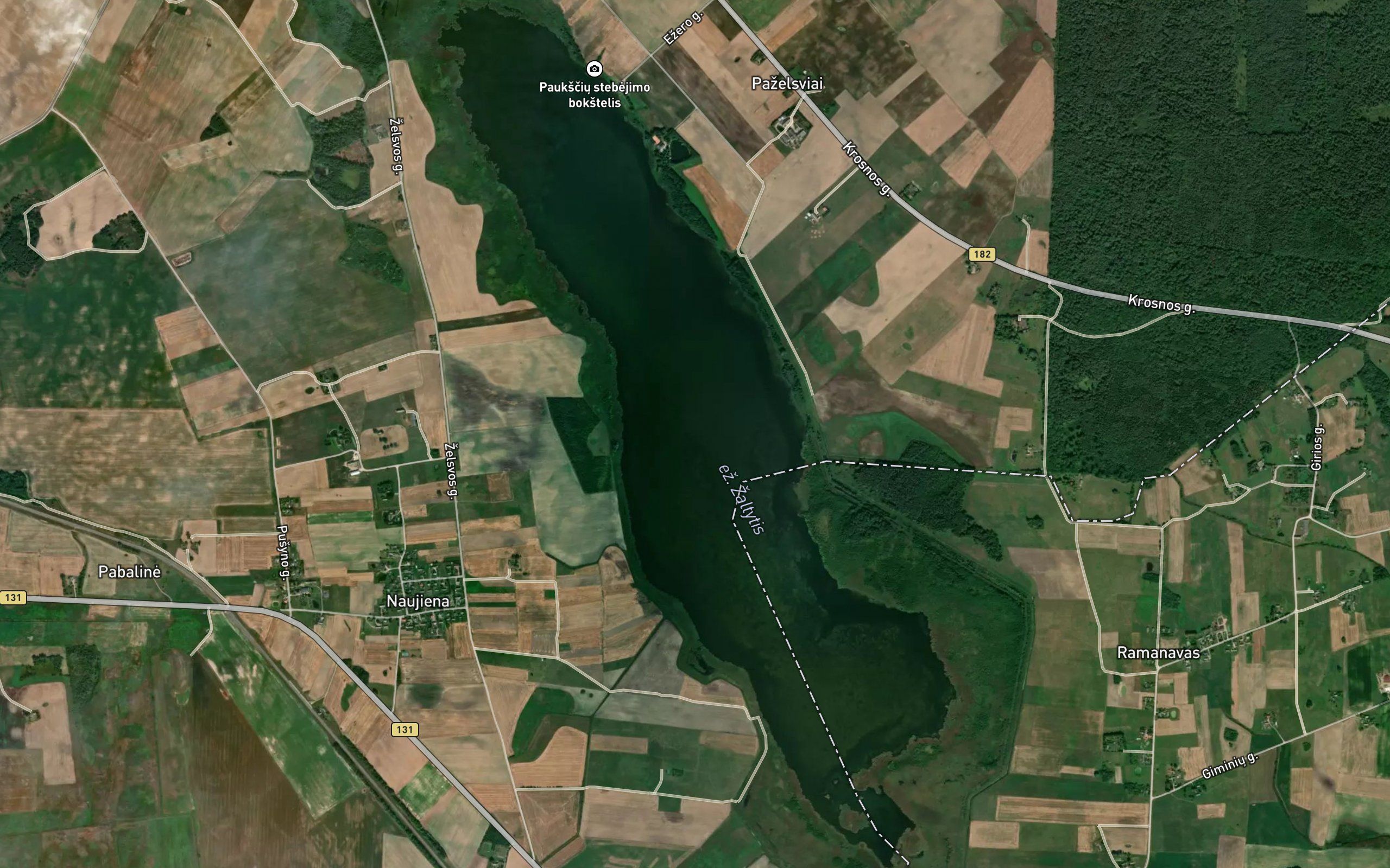 Ezeras Zaltytis