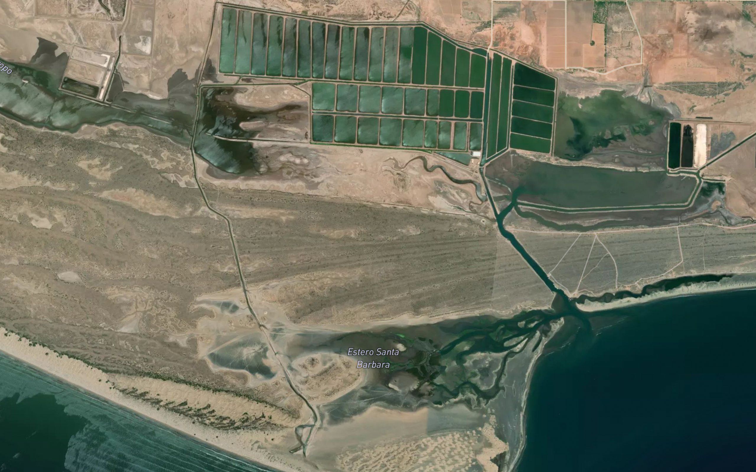 Estero Santa Barbara