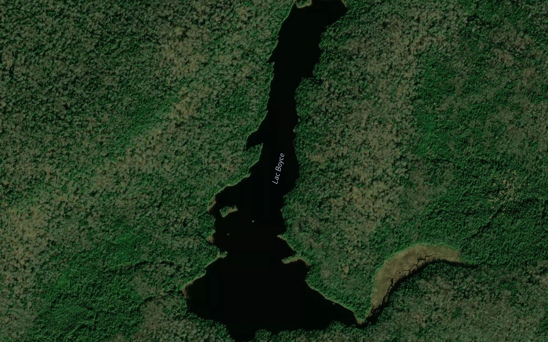 Satellite map of the Lac Boyce