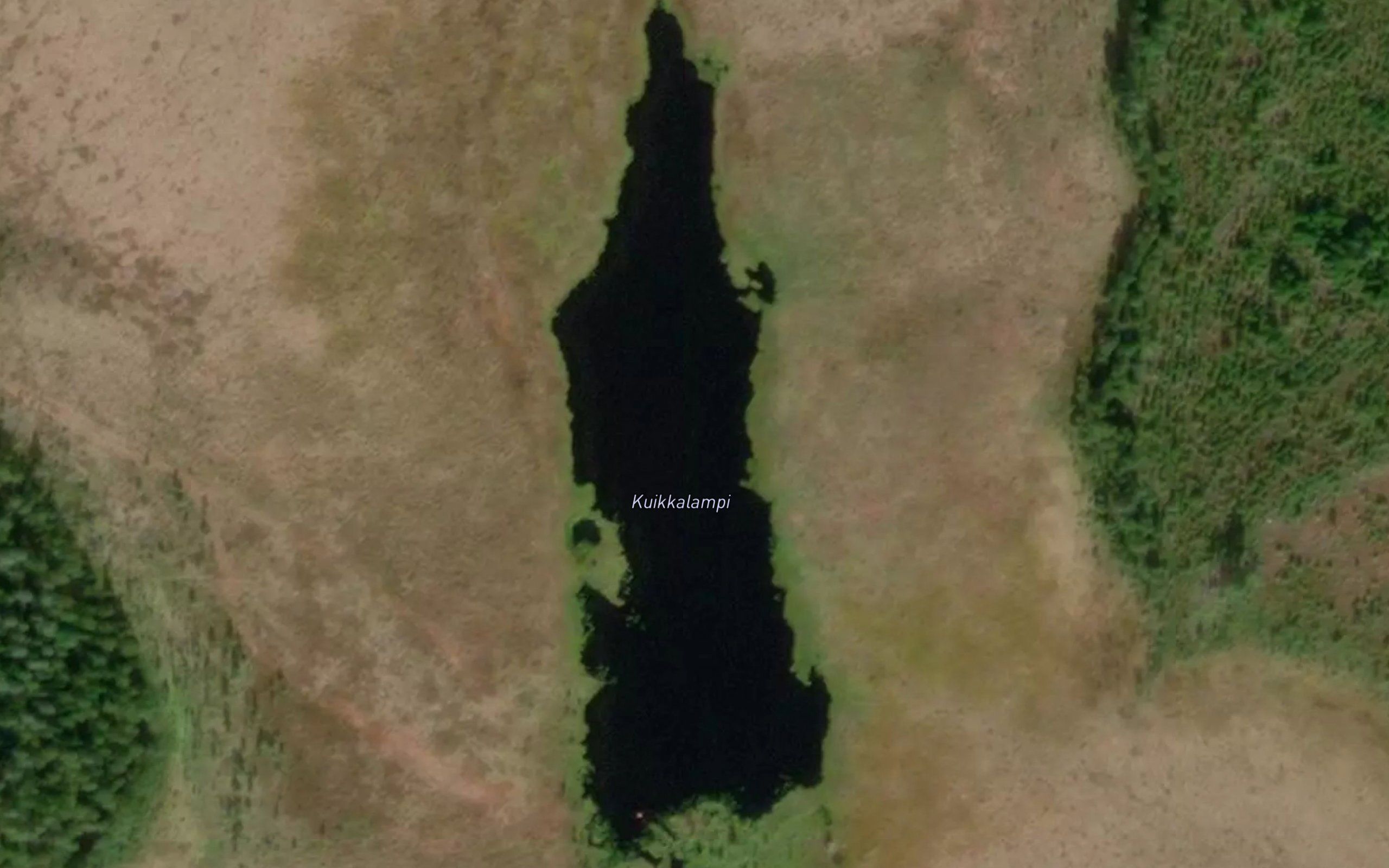 Kuikkalampi