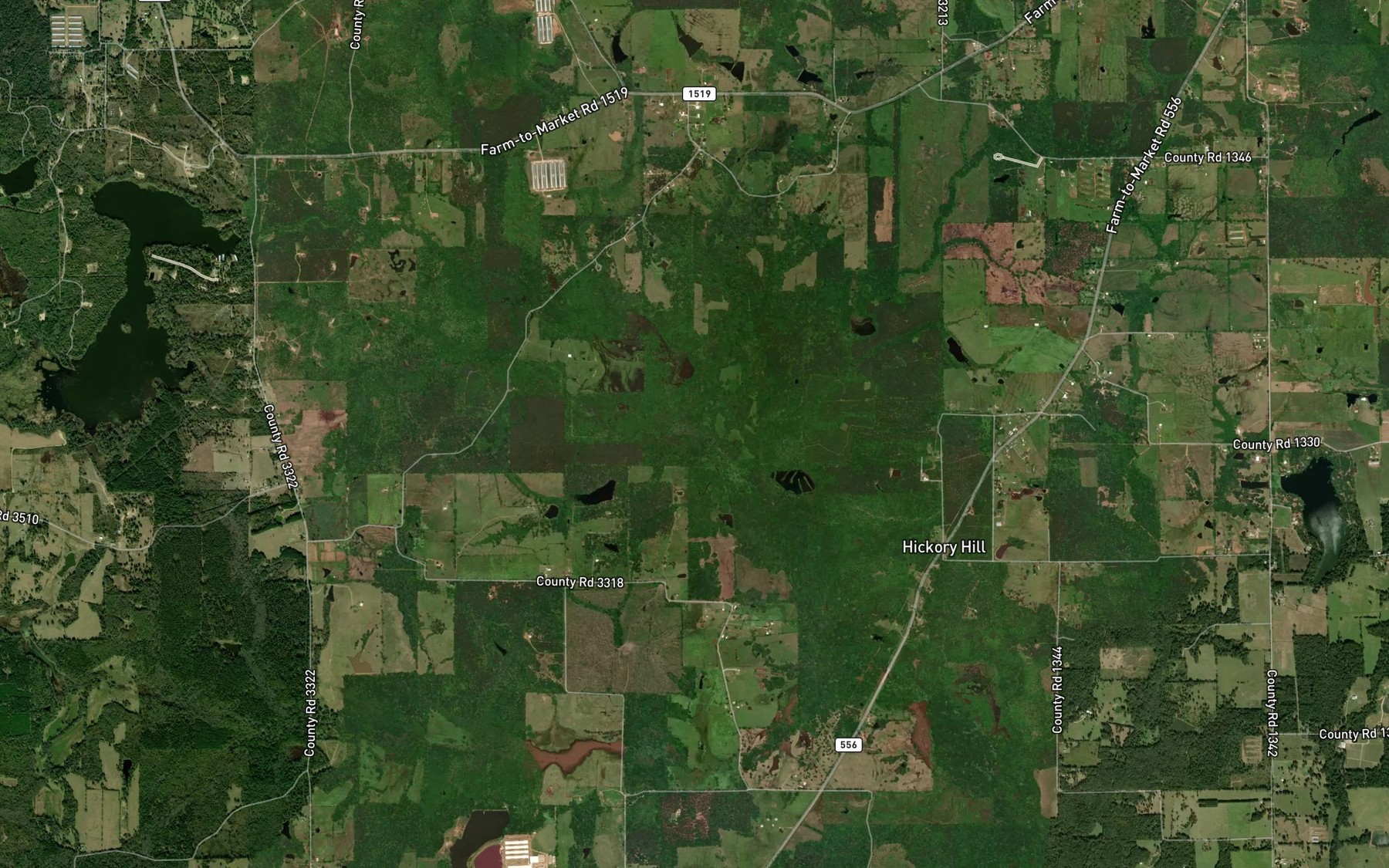 Satellite map of the Ellison Branch