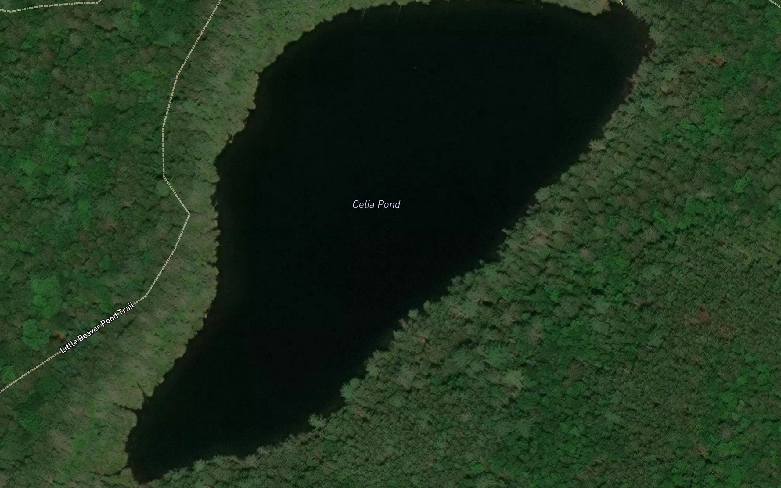 Celia Pond