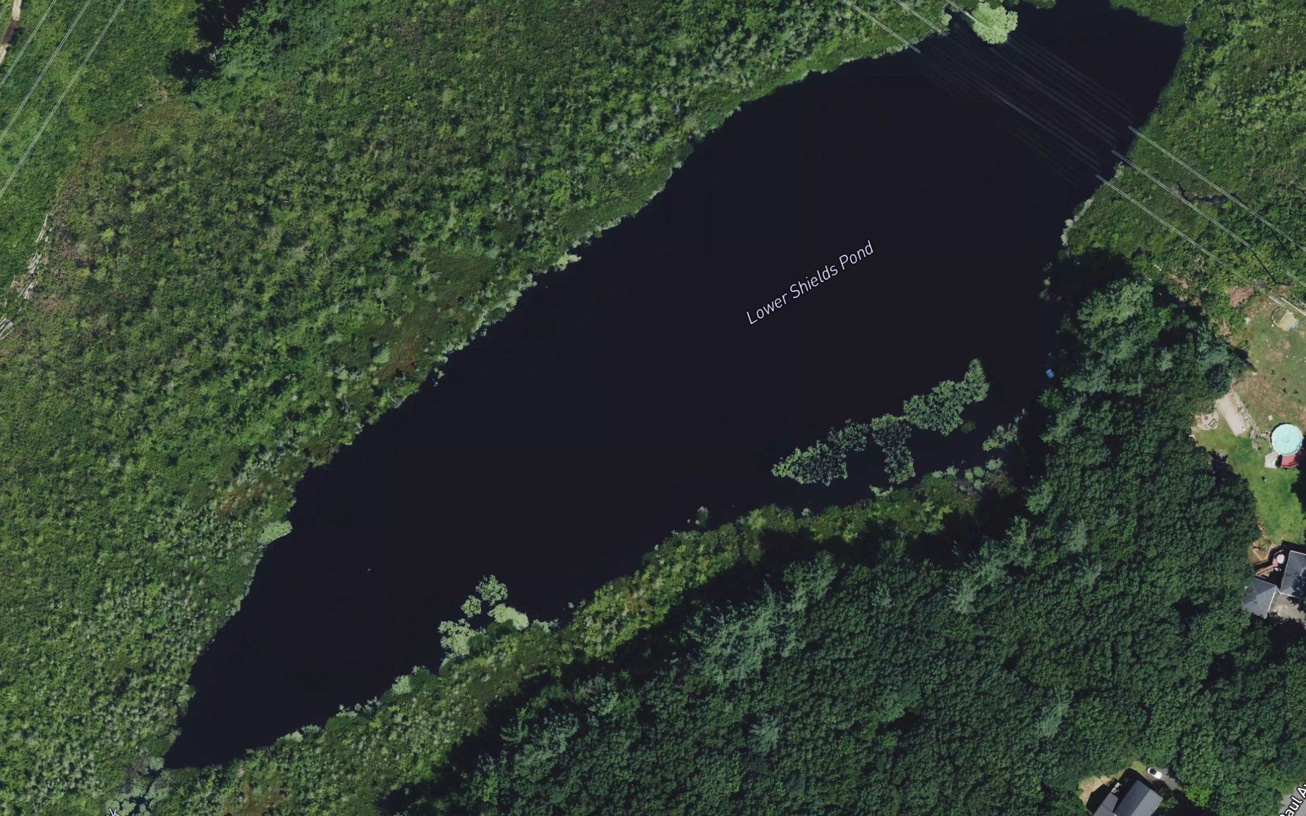 Lower Shields Pond