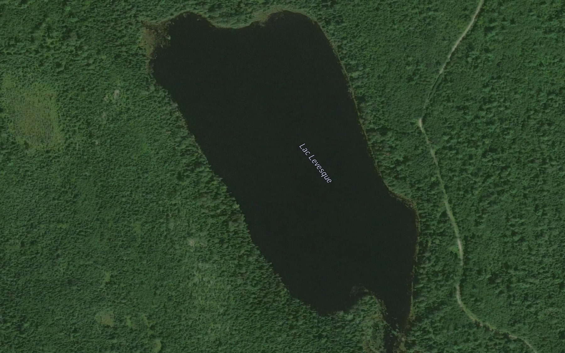 Satellite map of the Lac Levesque