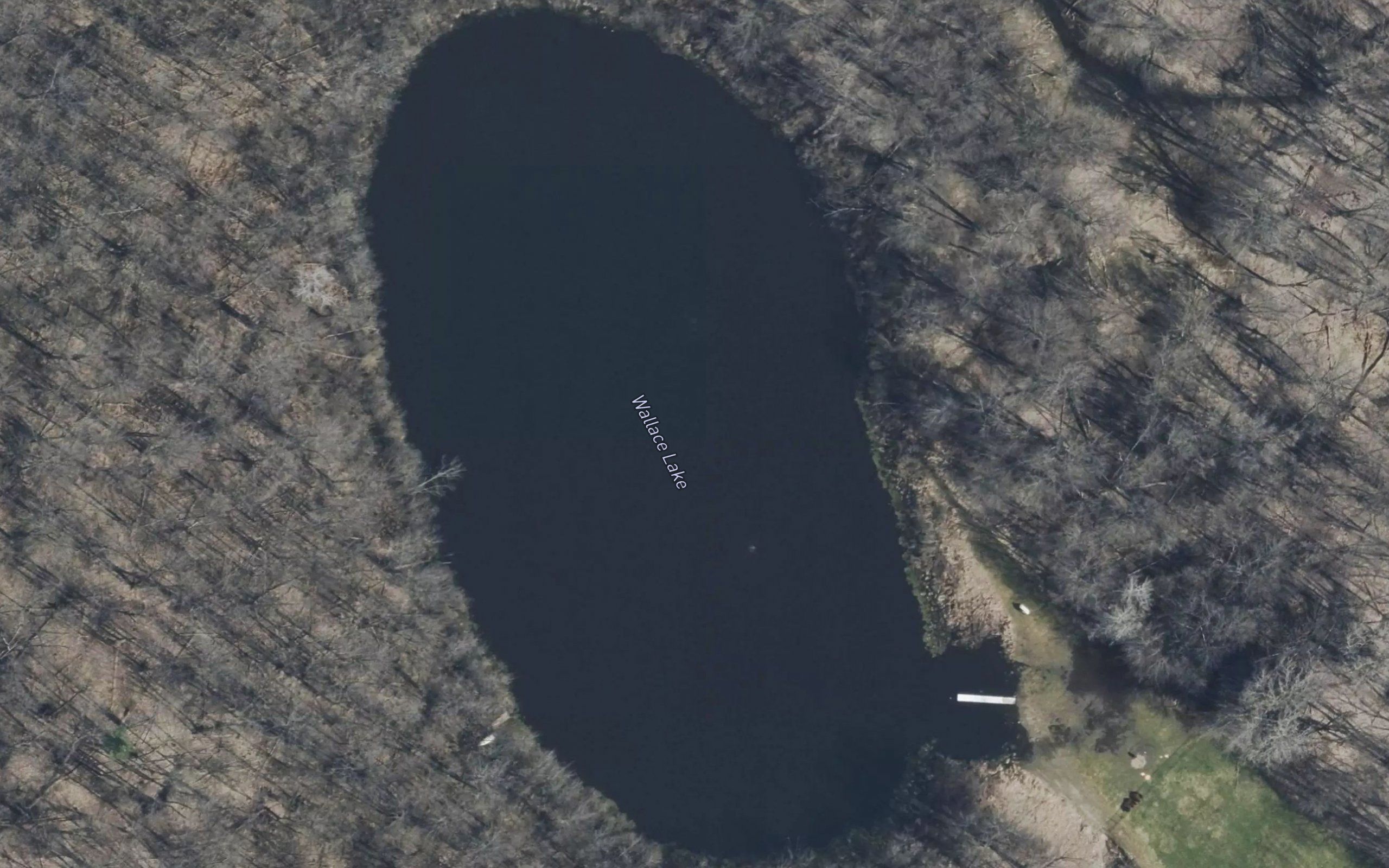 Wallace Lake