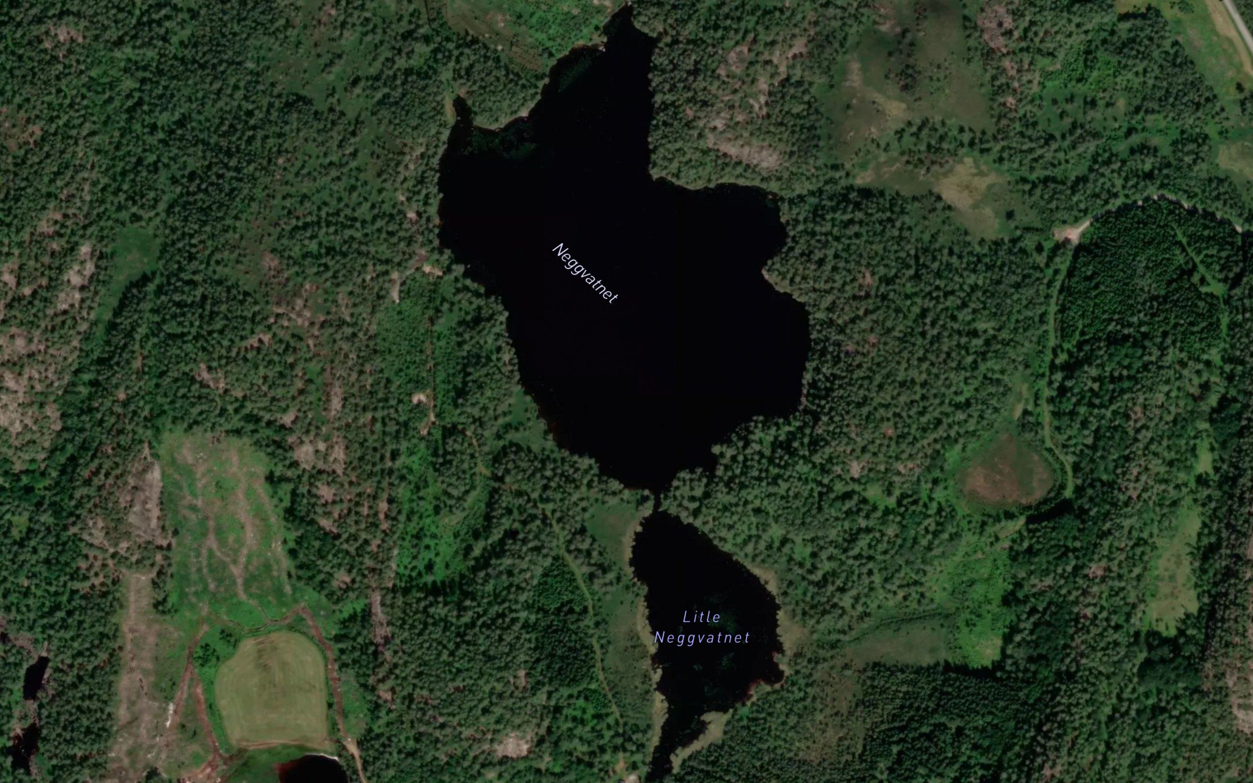Neggvatnet