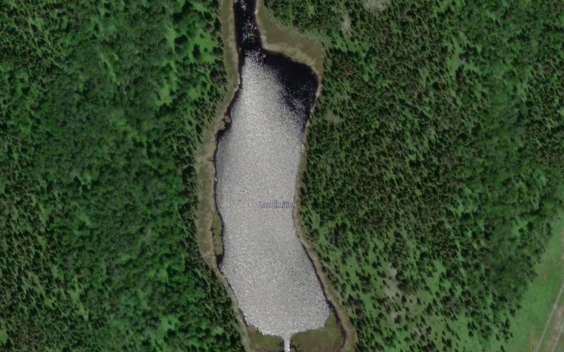 Satellite map of the Lac Emilien