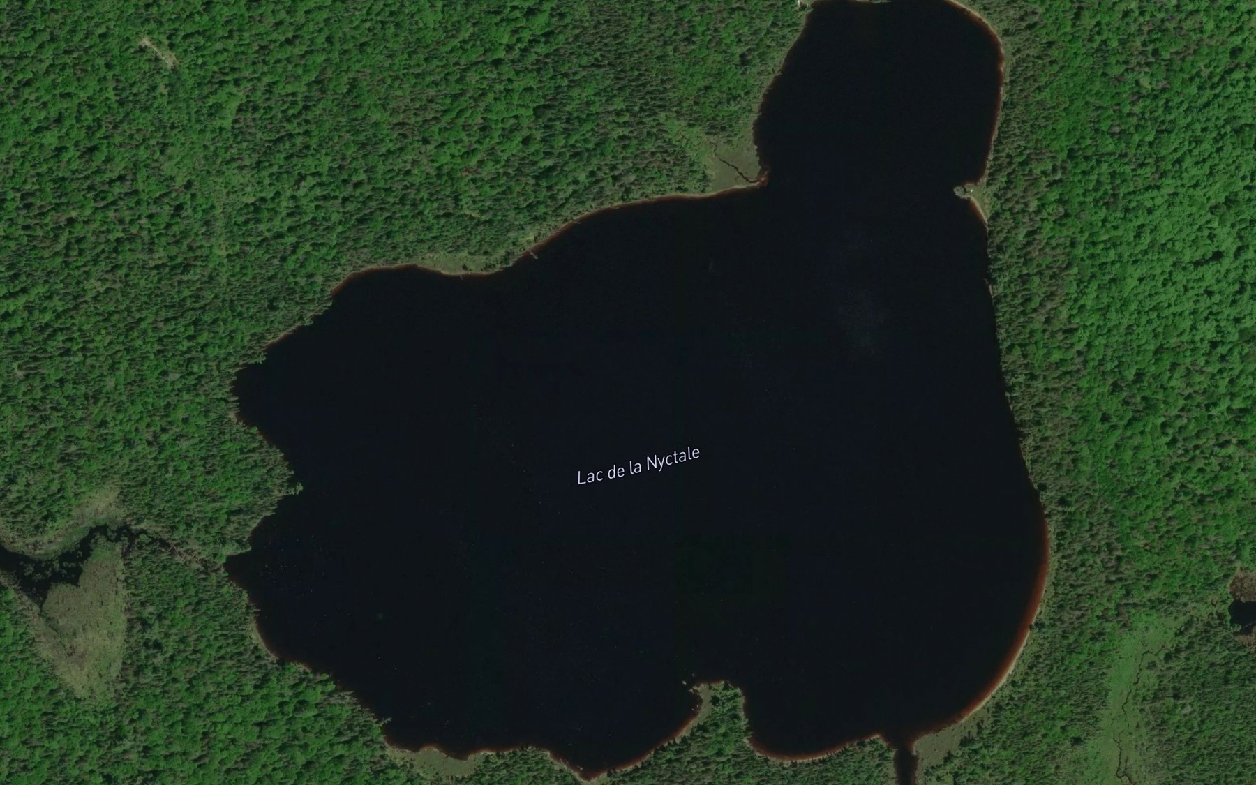 Satellite map of the Lac de la Nyctale