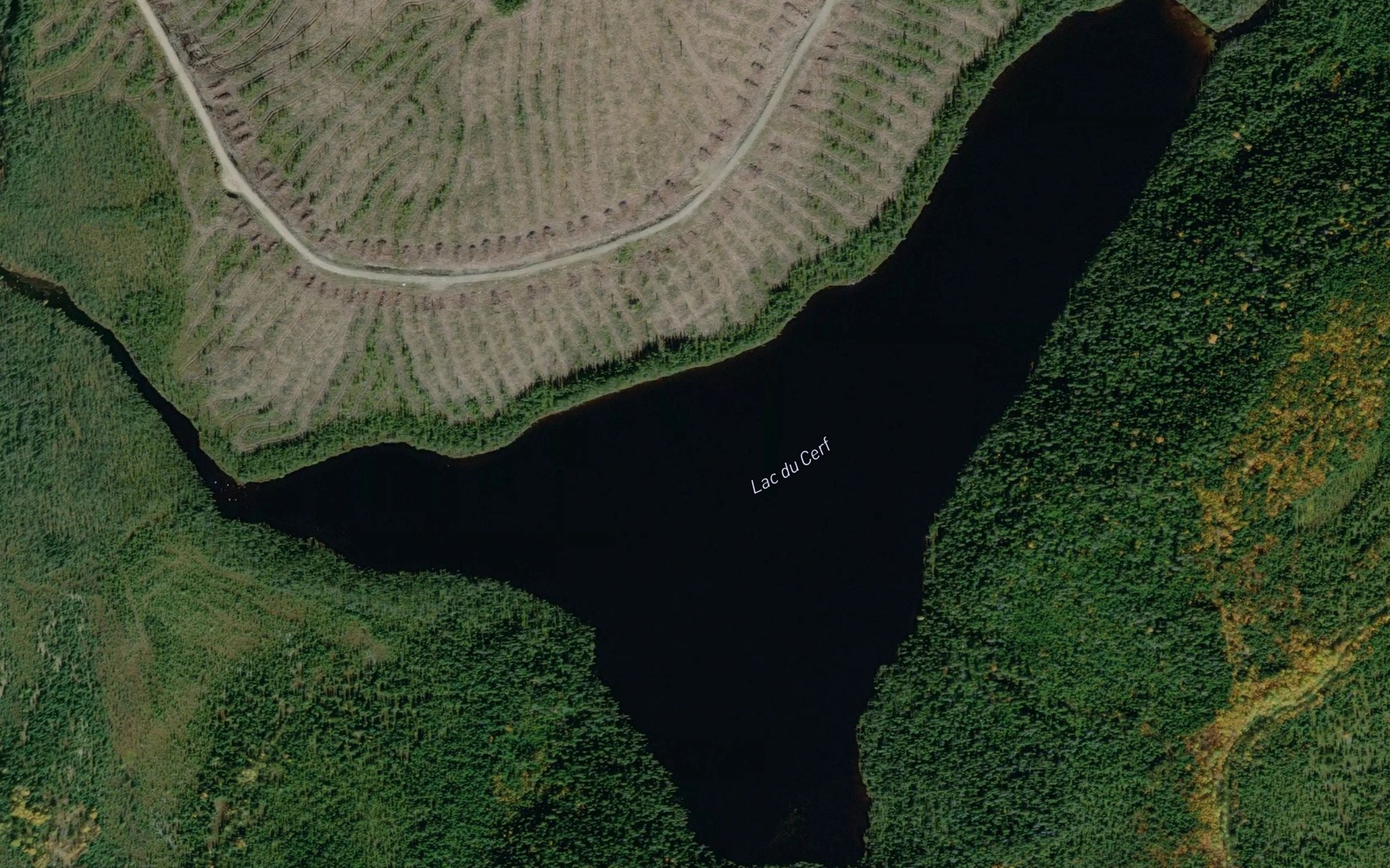 Satellite map of the Lac du Cerf