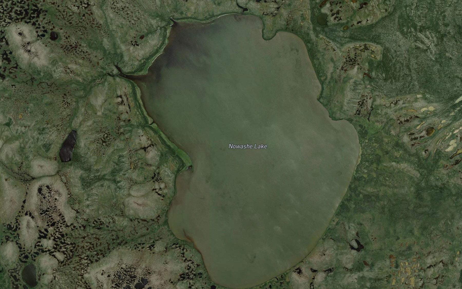 Satellite map of the Nowashe Lake