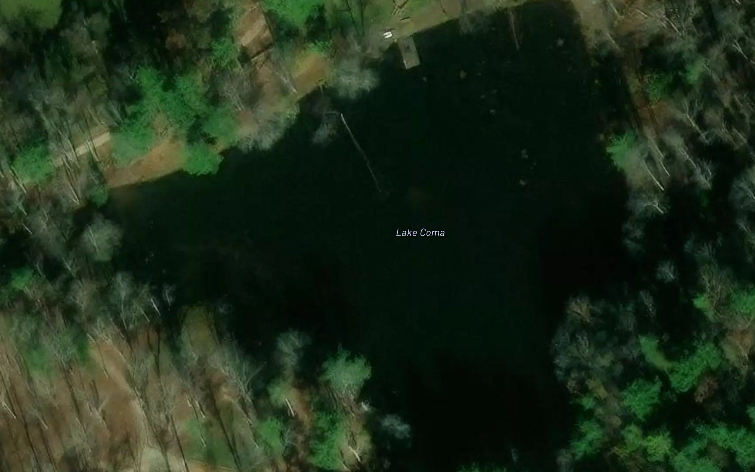 Lake Coma