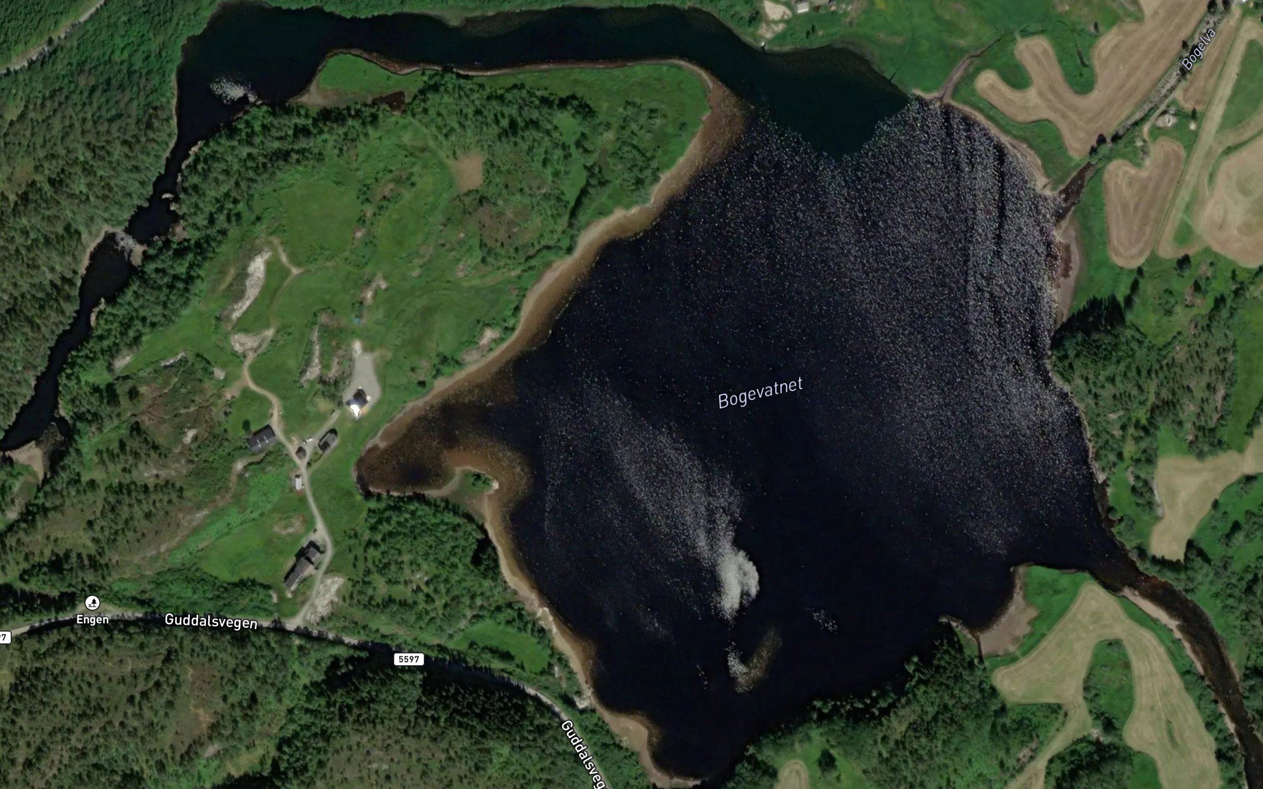 Bogevatnet
