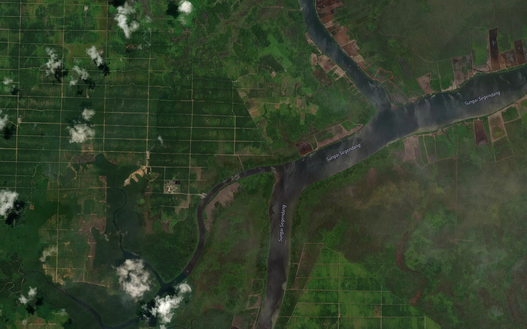 Satellite map of the Sungai Riwang