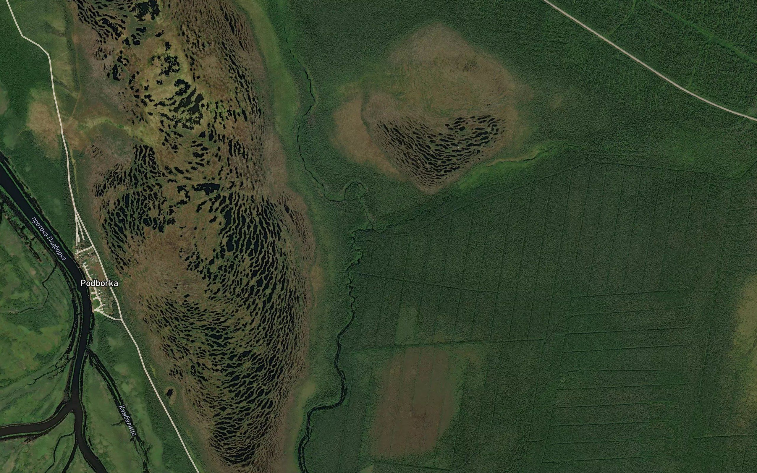 Krivka
