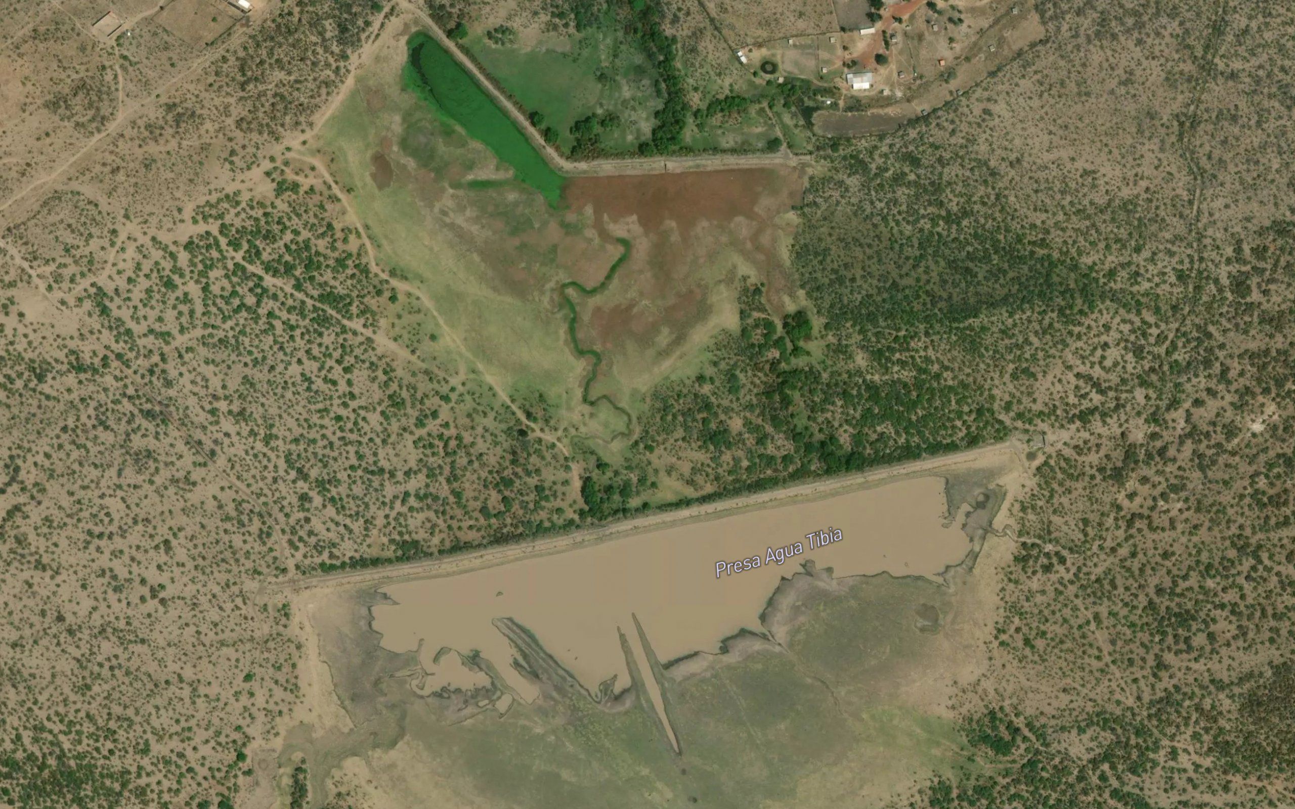 Agua Tibia