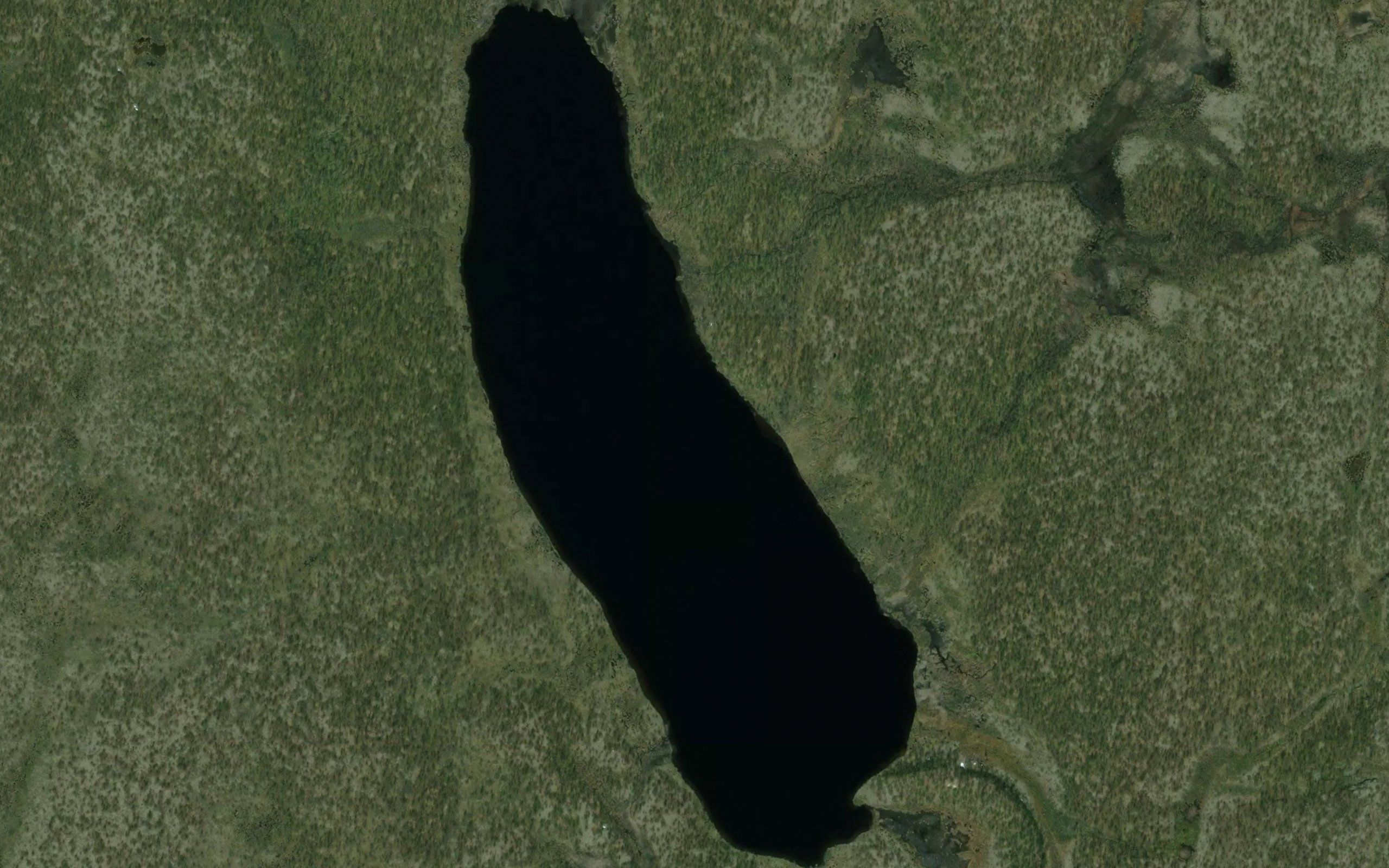 Ravdujavri