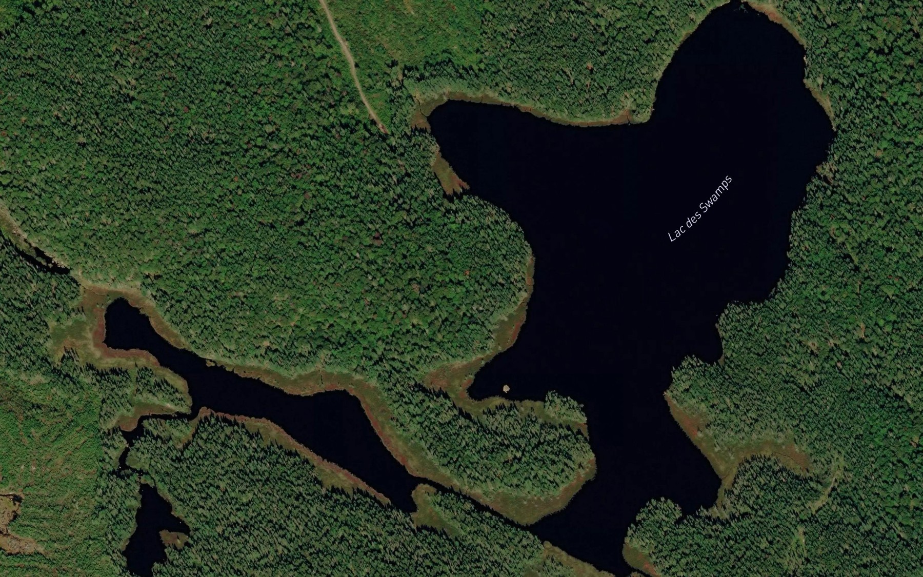 Satellite map of the Lac des Swamps