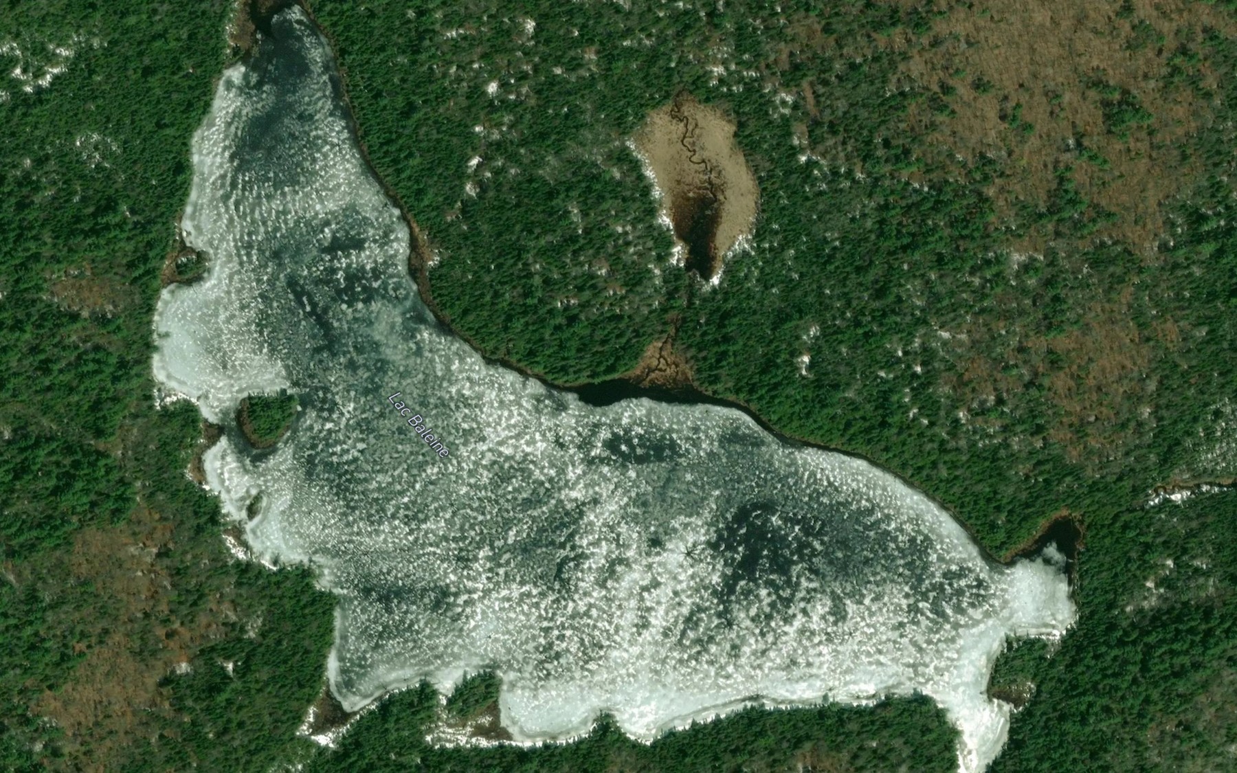 Satellite map of the Lac Baleine
