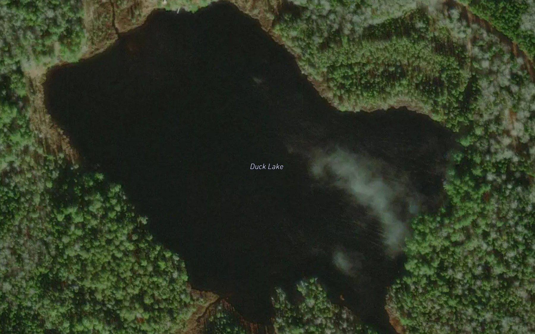 Satellite map of the Duck Lake