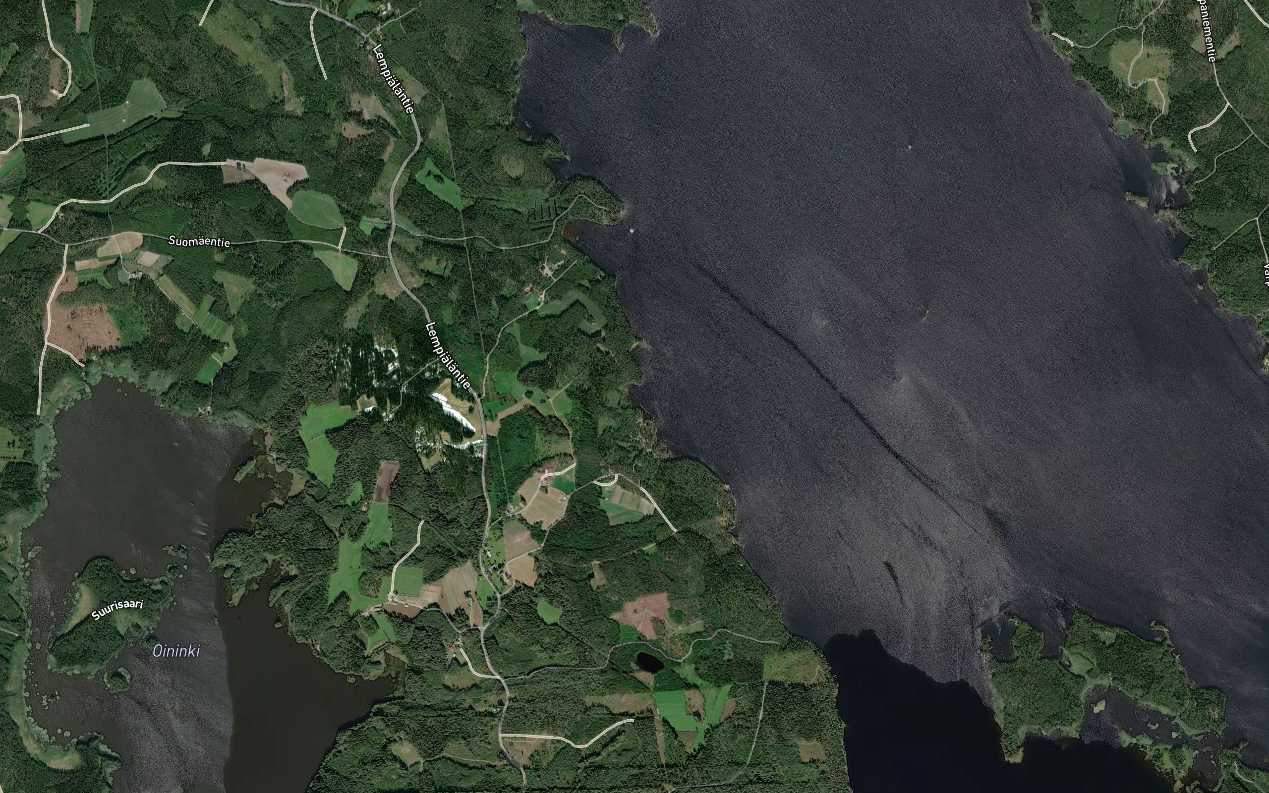 Leppalahti
