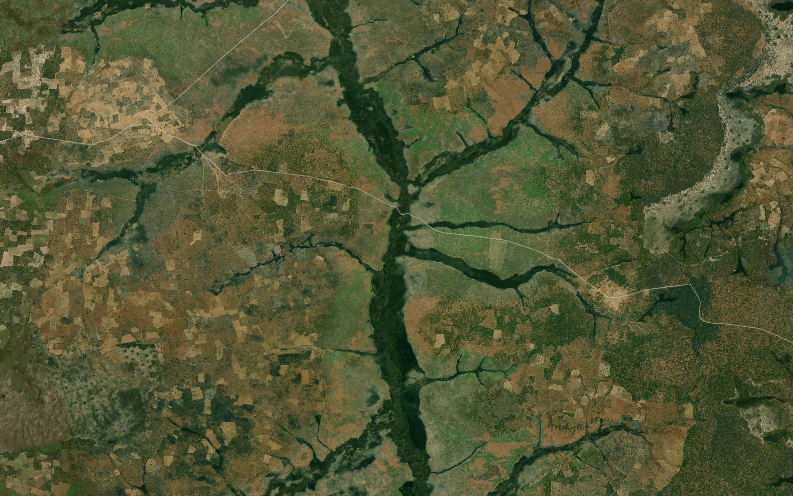Liomba