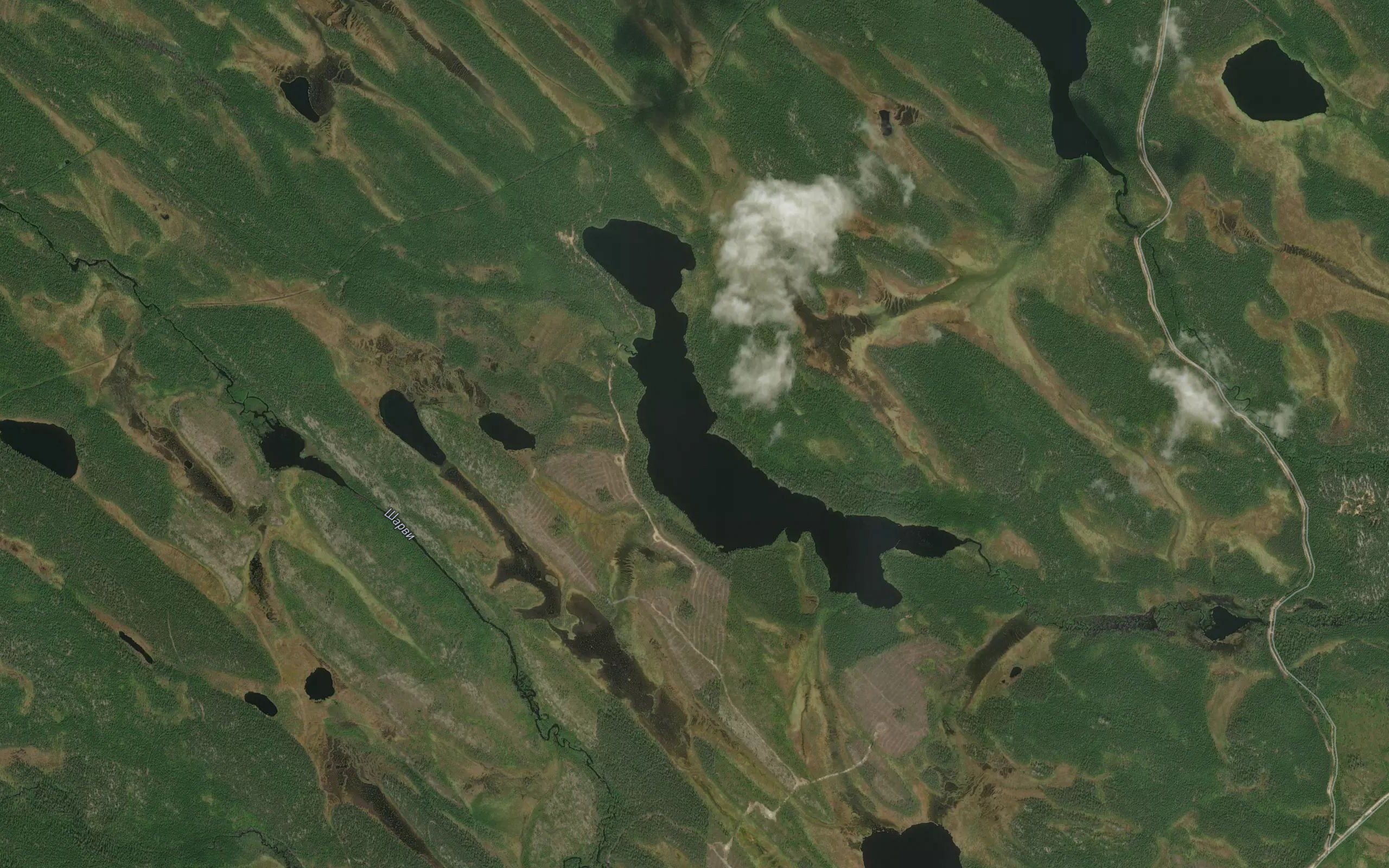 Hoikkijaervi